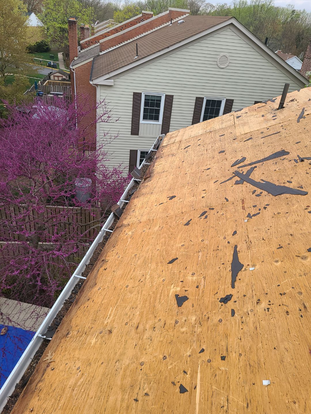 Springfield: Residential Roof Replacement with CertainTeed Landmark Pro in Max Def Red Oak by RM Banning, Inc.