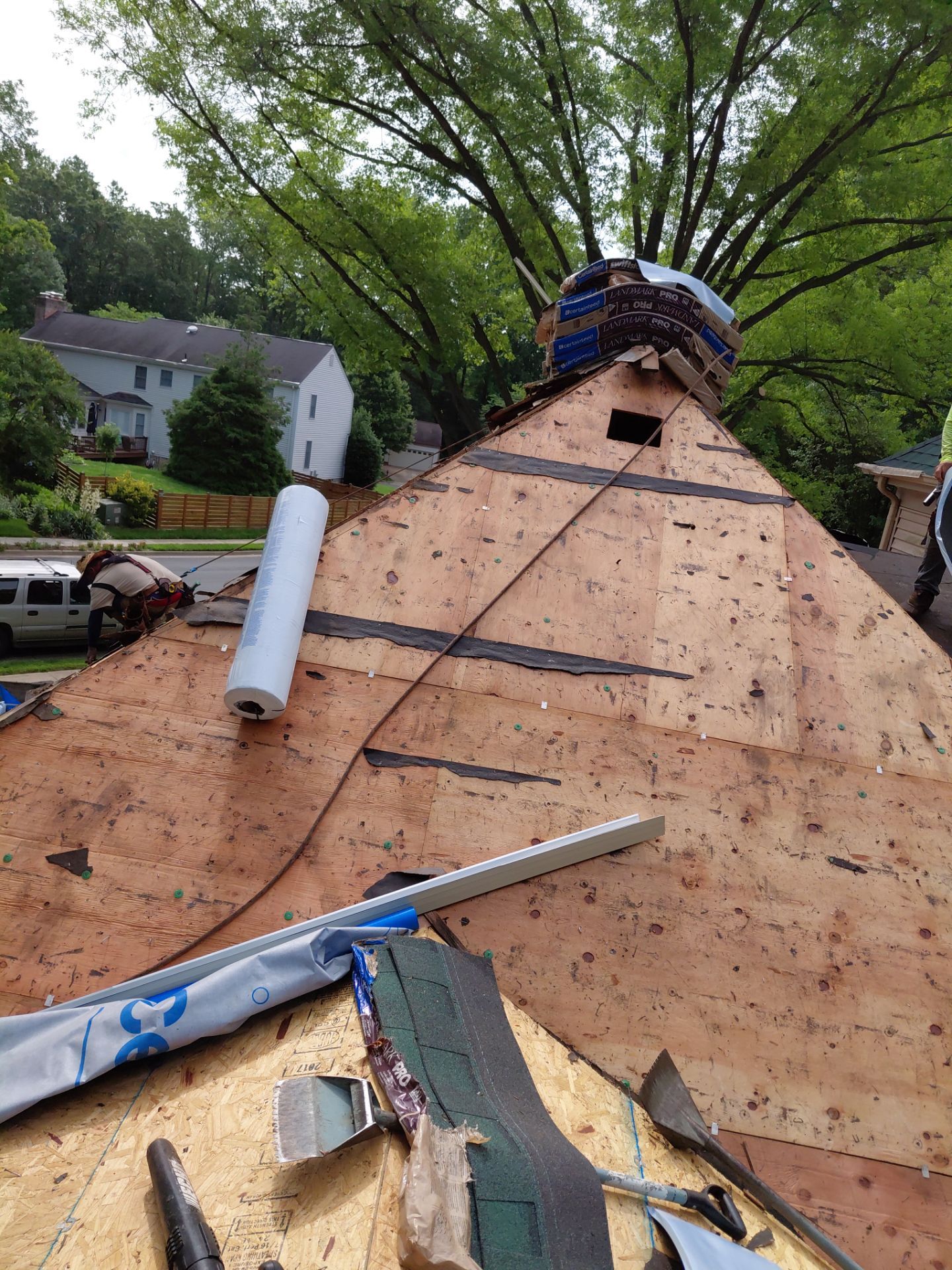 Springfield: Roof Replacement with CertainTeed Landmark Pro in Max Def Evergreen by RM Banning, Inc.