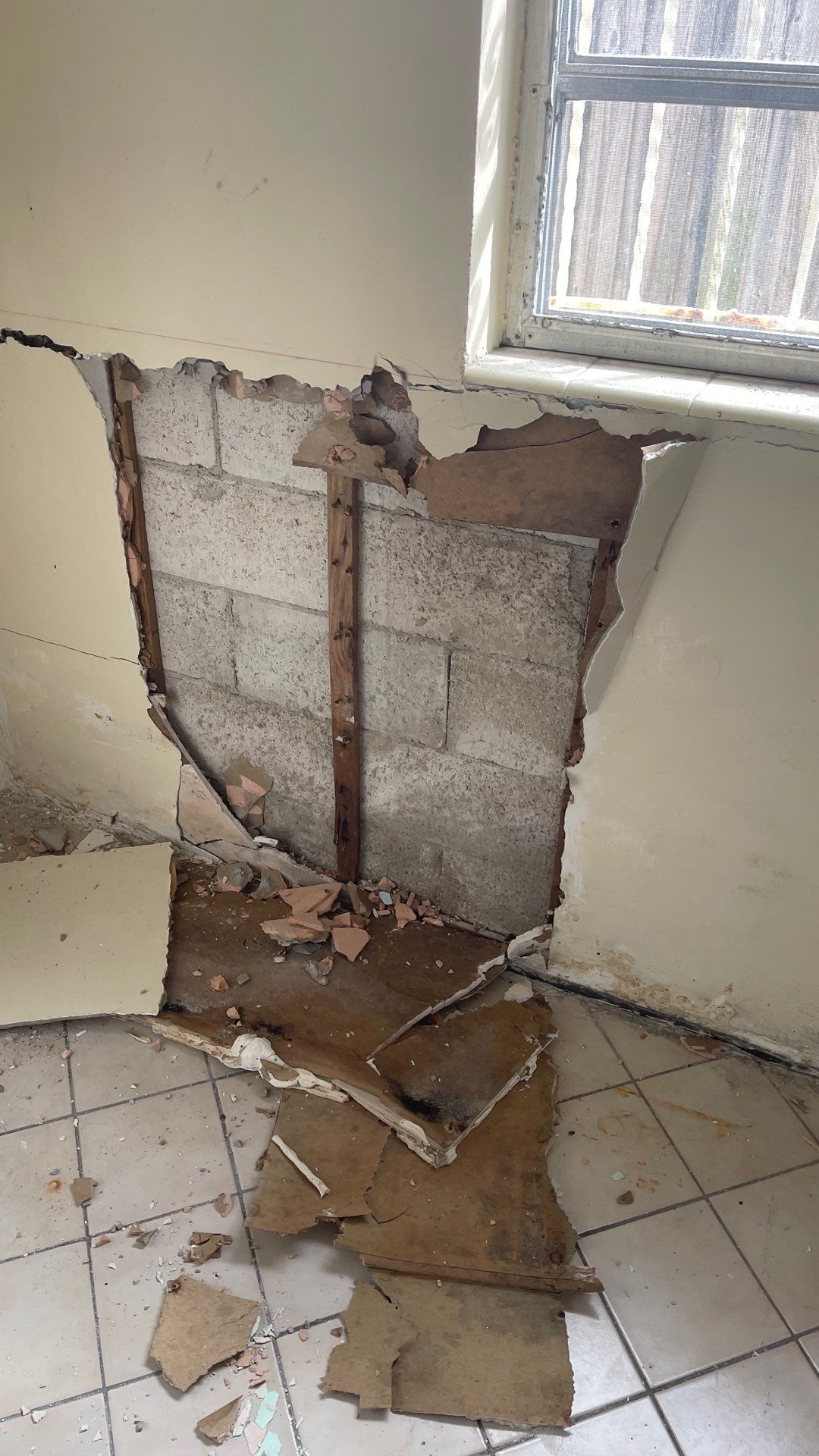 Mold Remediation  by THE RAPID TEAM