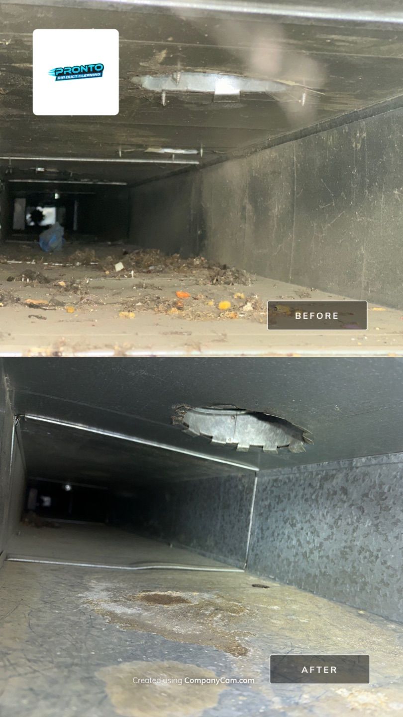 Air Duct Cleaning Manassas VA by Pronto Air Duct Cleaning