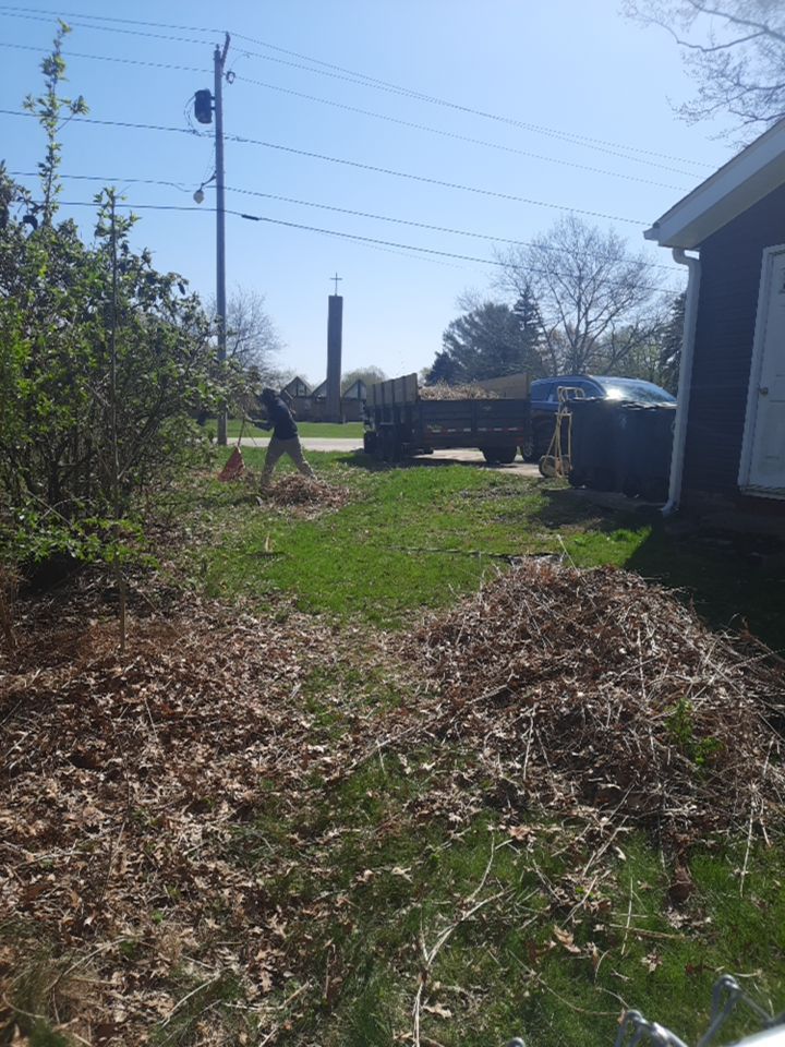 Tree Removal using Tree Removal by Mike Jones & Sons Tree Service LLC 