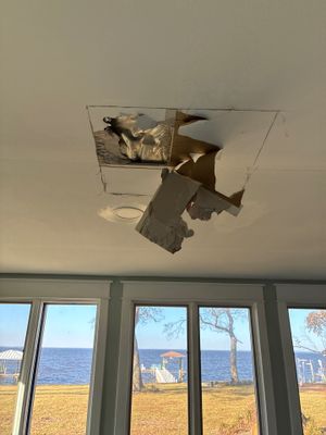 Black Mold Removal — Fort Myers, FL