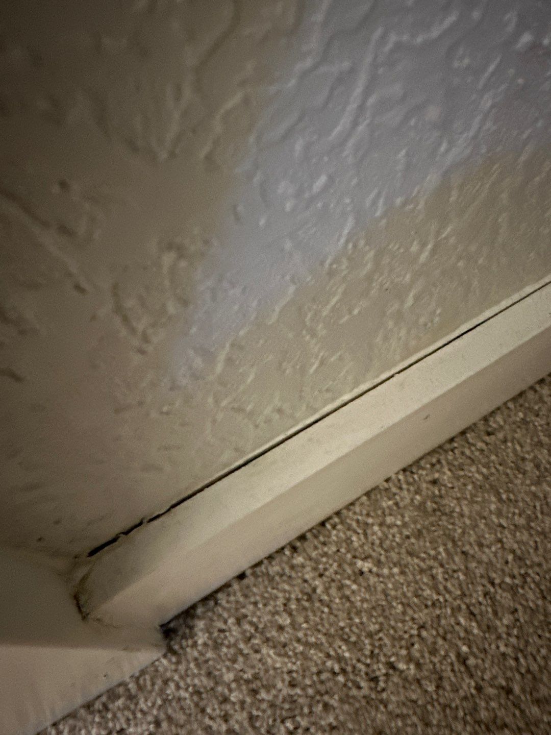 Water Damage by Accountable Home Services