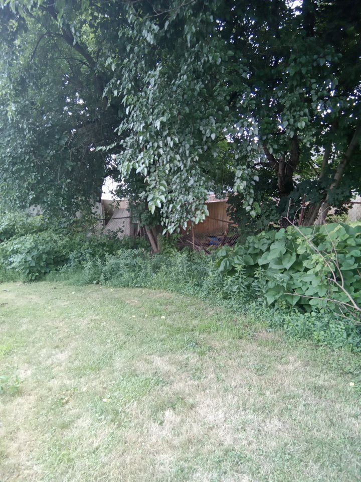 Tree Removal using Tree Removal by Mike Jones & Sons Tree Service LLC 