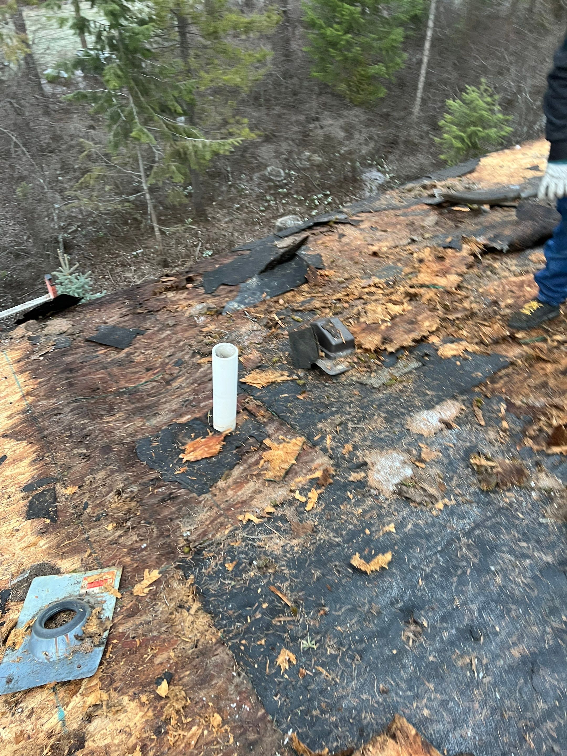 GAF Timberline HDZ - Hunter Green by Montana Roofing Solutions