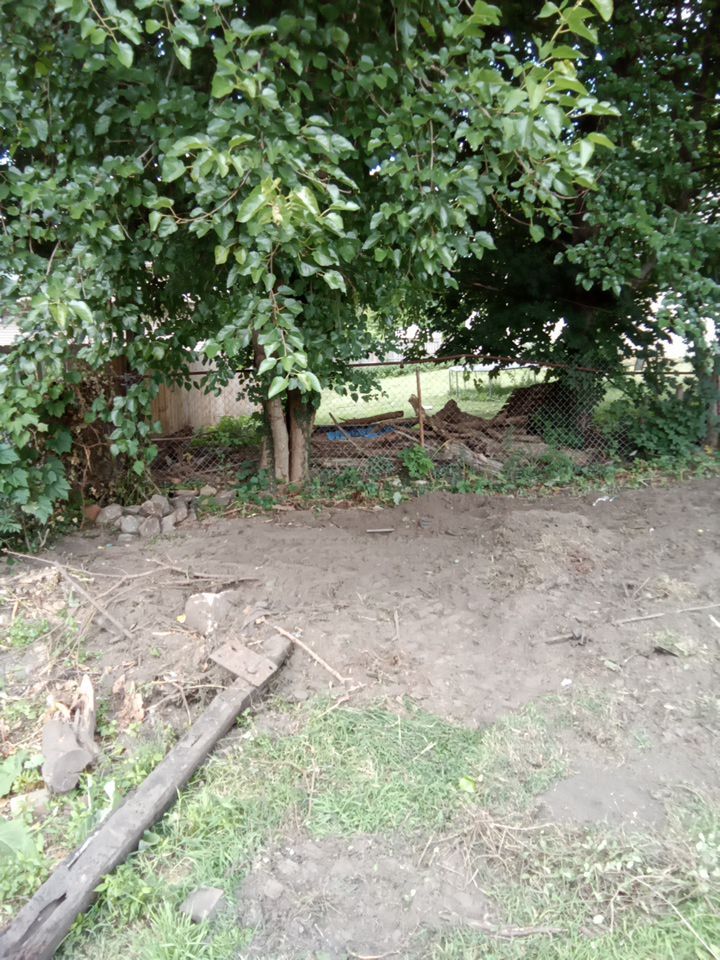 Tree Removal using Tree Removal by Mike Jones & Sons Tree Service LLC 