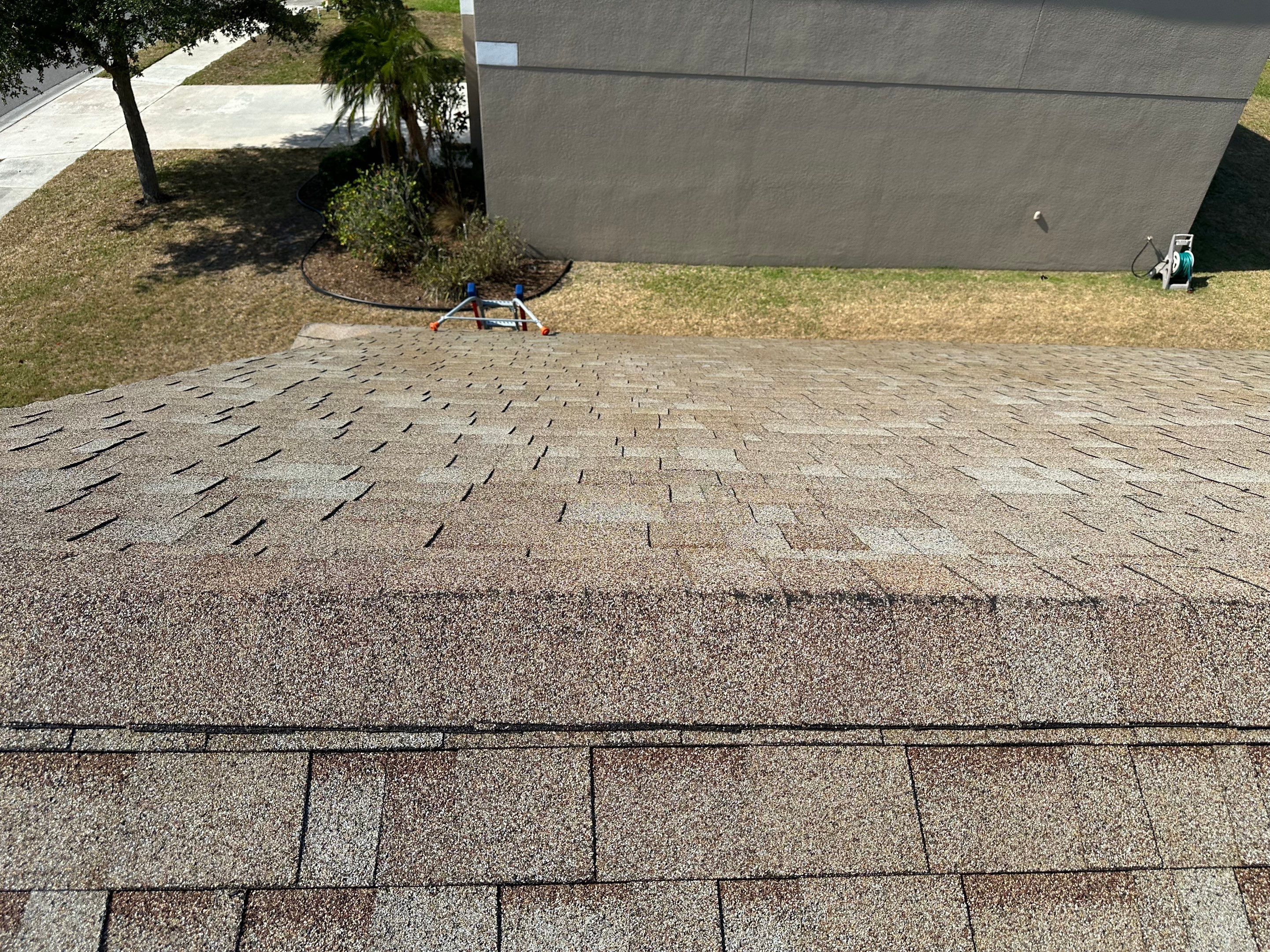 Asphalt Shingle Roof Soft Wash Cleaning & Concrete Pressure Washing in CopperStone Community, Parrish, FL by Sunshine AquaWash