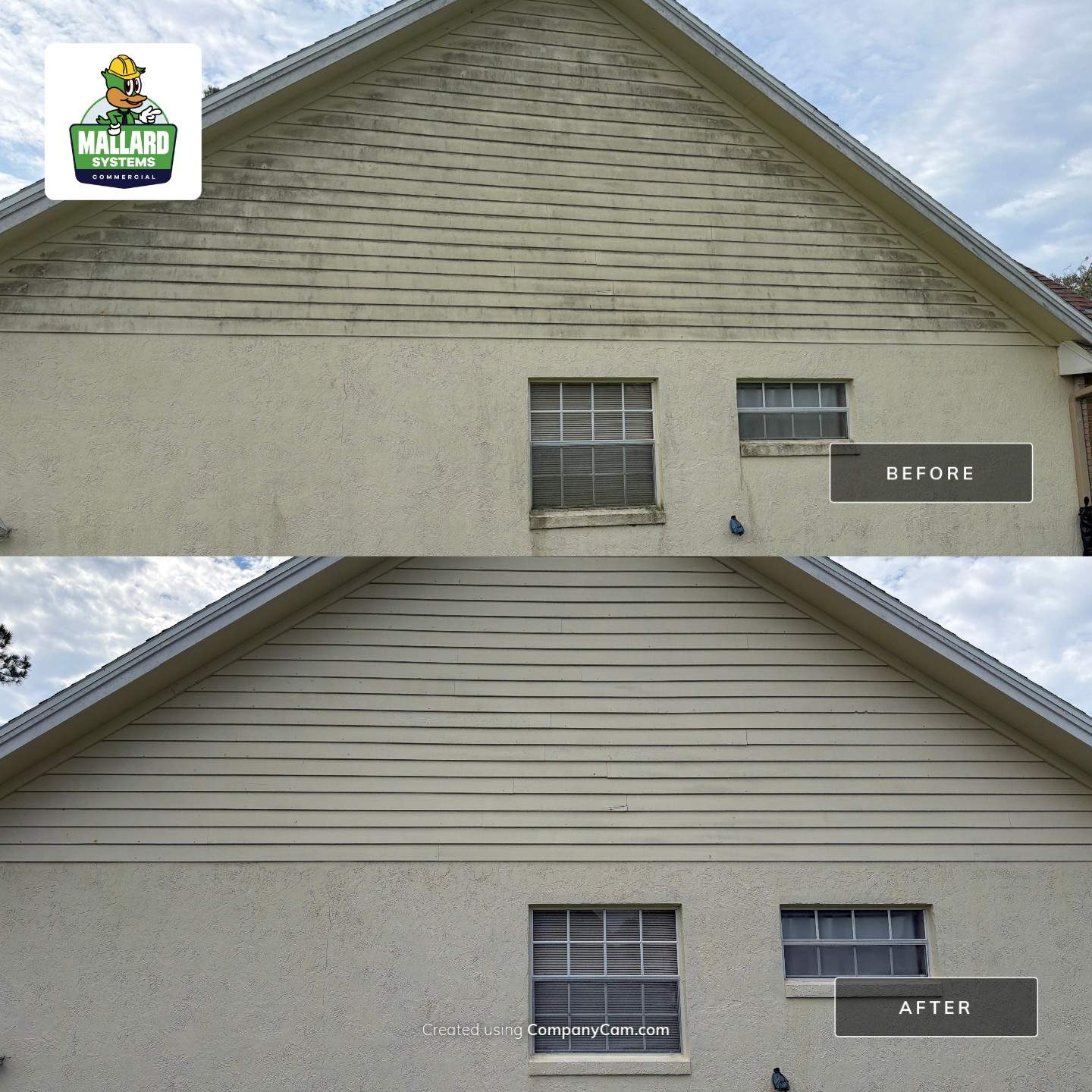 Residential Roof Cleaning and Exterior House Wash in Avalon Park by Mallard Systems