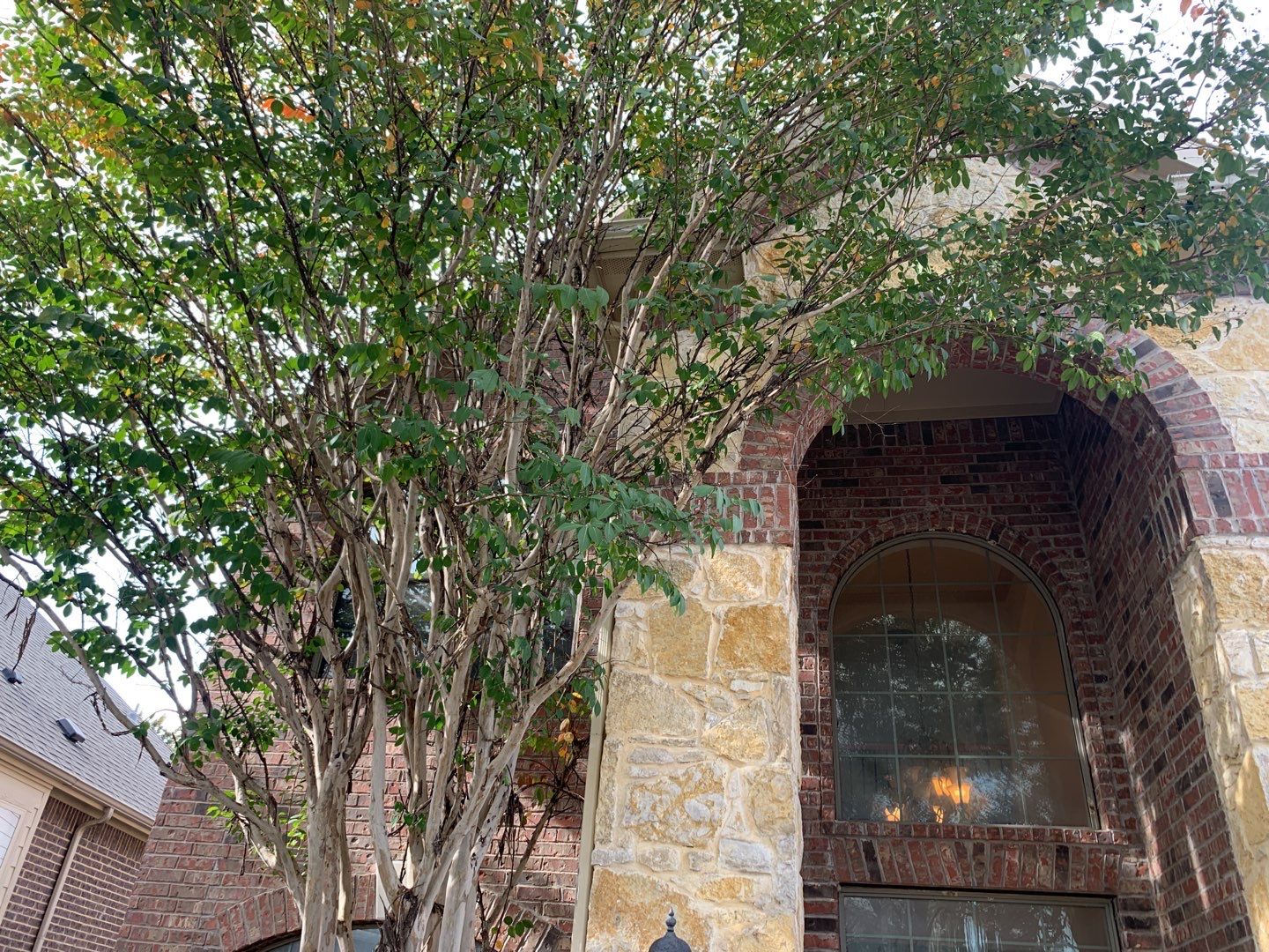 Project in Dallas by 6D Roofing & Consulting, LLC