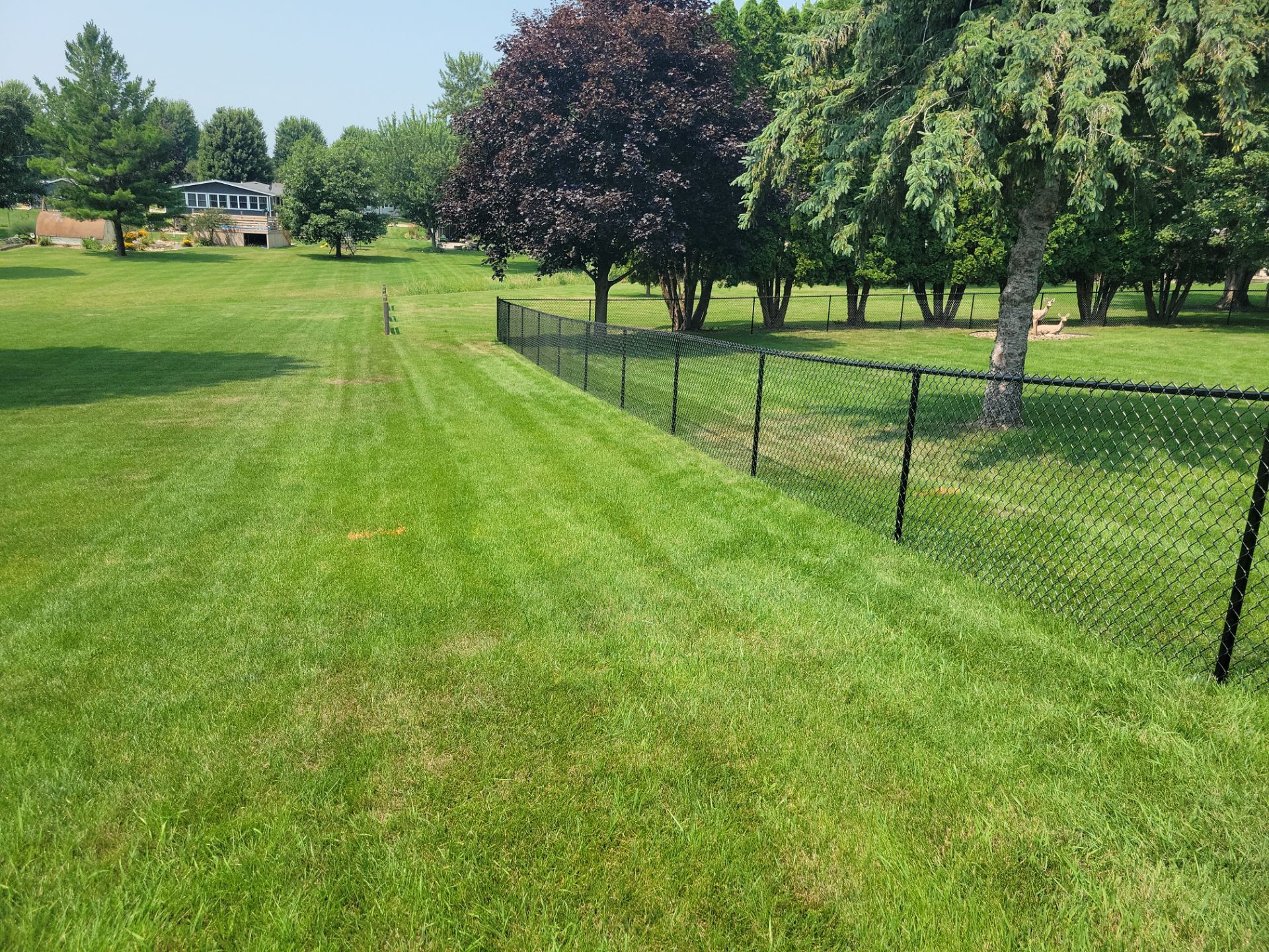Black Vinyl-Coated Chain Link Fence Installation in New Hampton by Perfect Picket Fence and Stain
