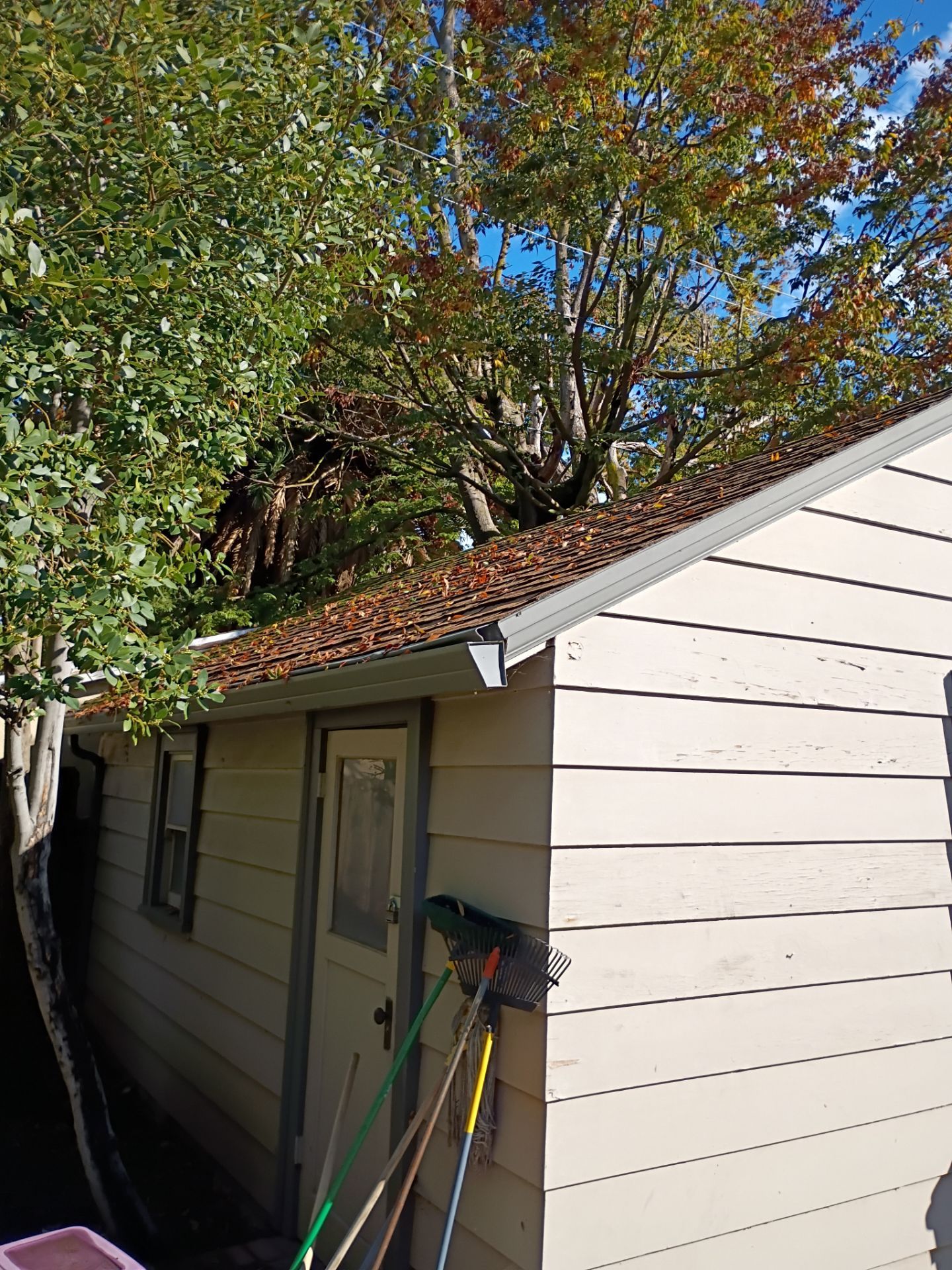 Roof Rejuvenation using Roof Maxx Treatment by Roof Maxx of Folsom