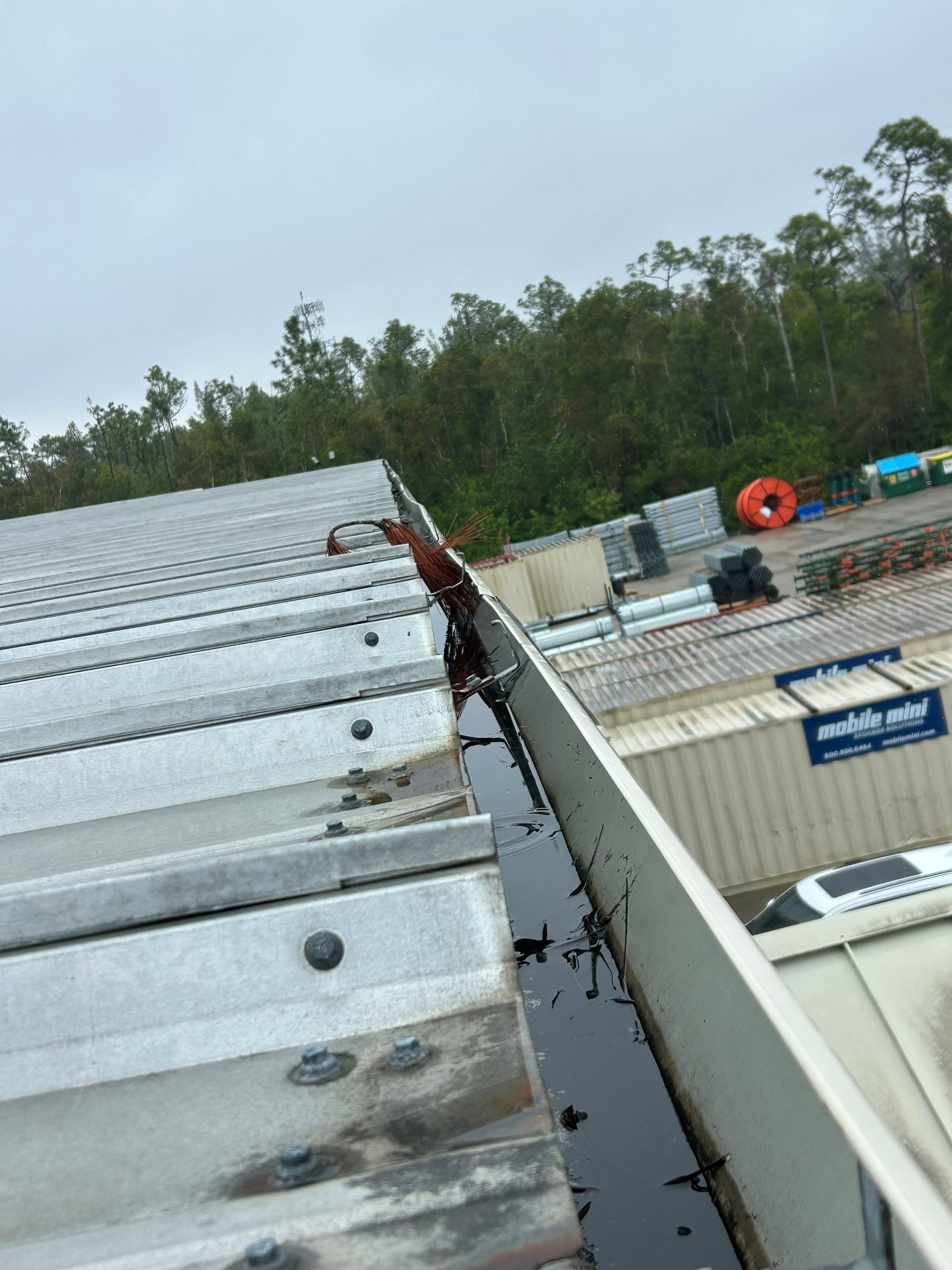 Gutter Cleaning Services in Fort Myers FL by Gutter Professors