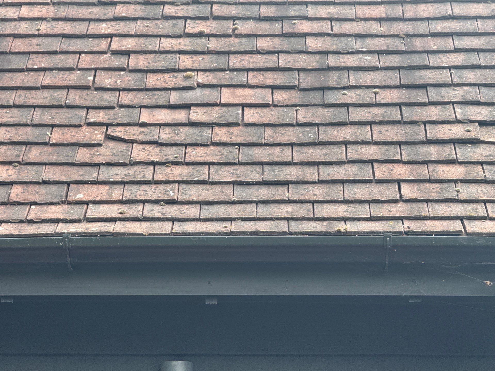 Roof Clean - Patio Clean using 18inch Whirlaway FSC by Ges Exterior Cleaning ltd