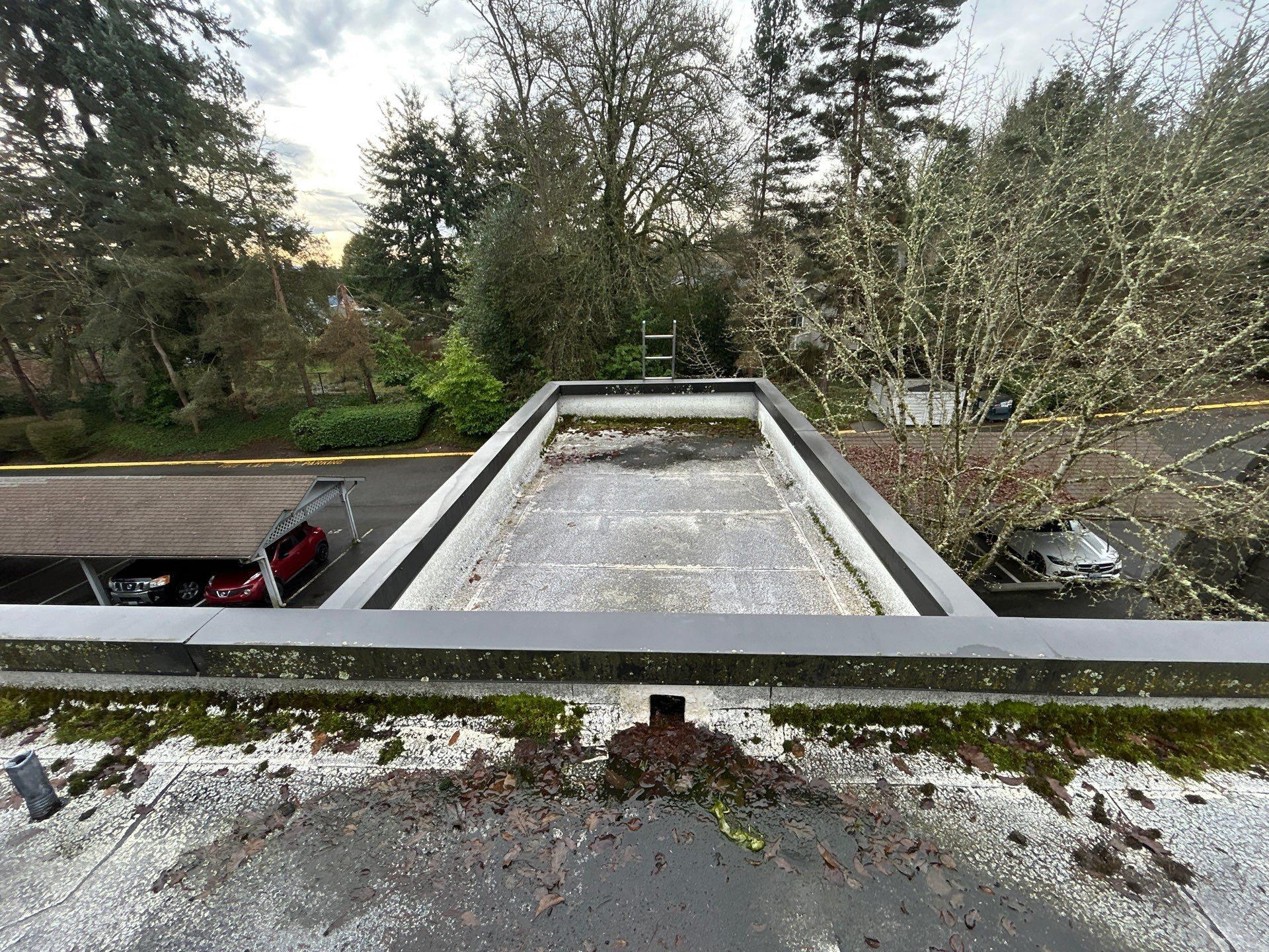 Project in Kirkland by Connolly Construction Company