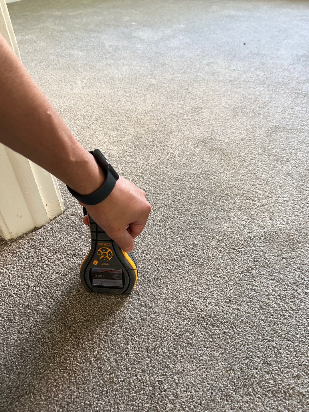 Project in Novi by EzDry Water Mitigation & Property Restoration