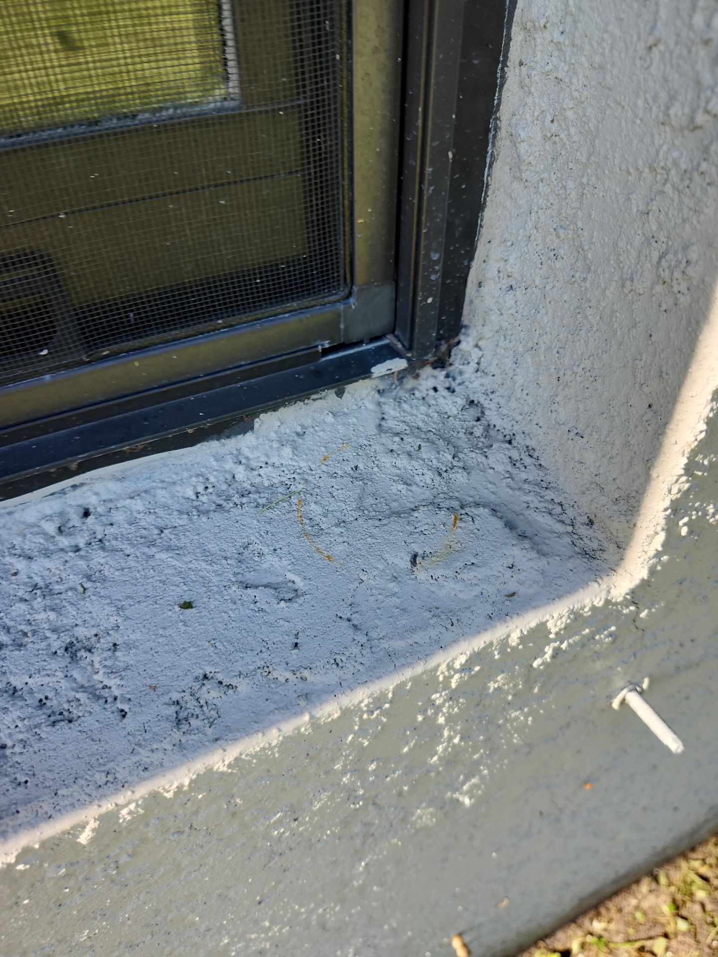 Project in Fort Myers by Sunbelt Home Solutions