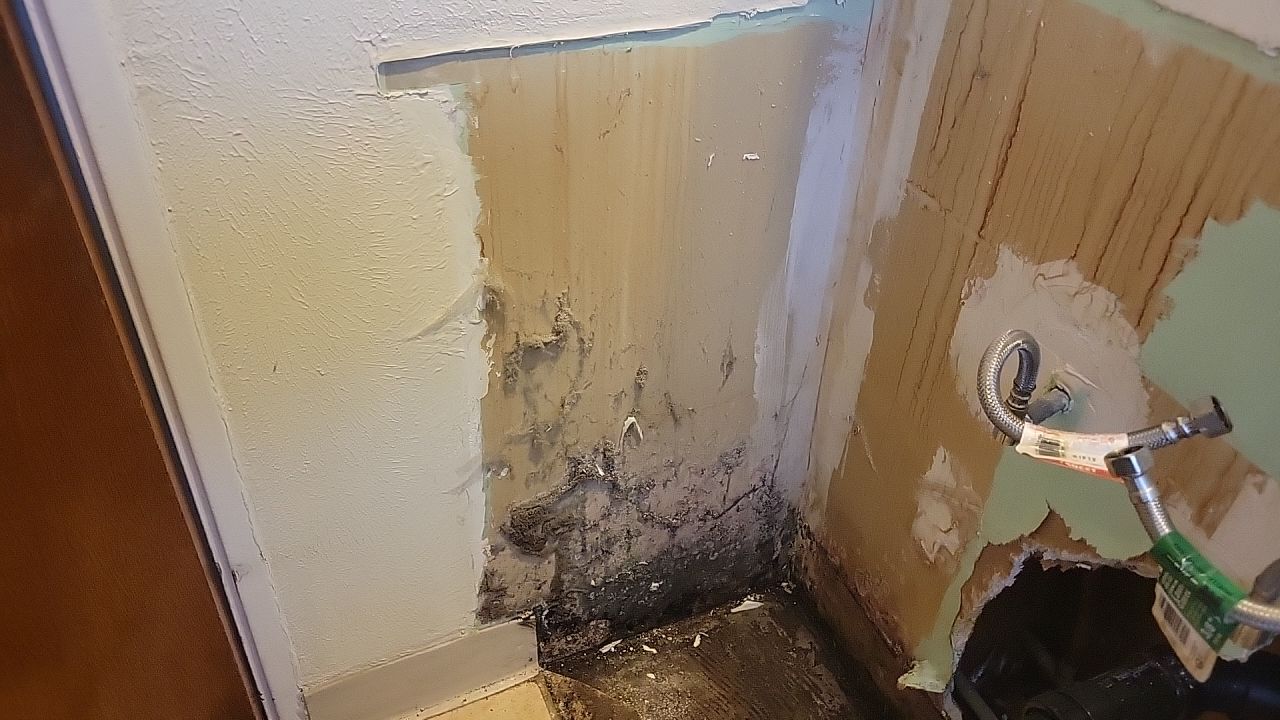 Water Damage by Accountable Home Services