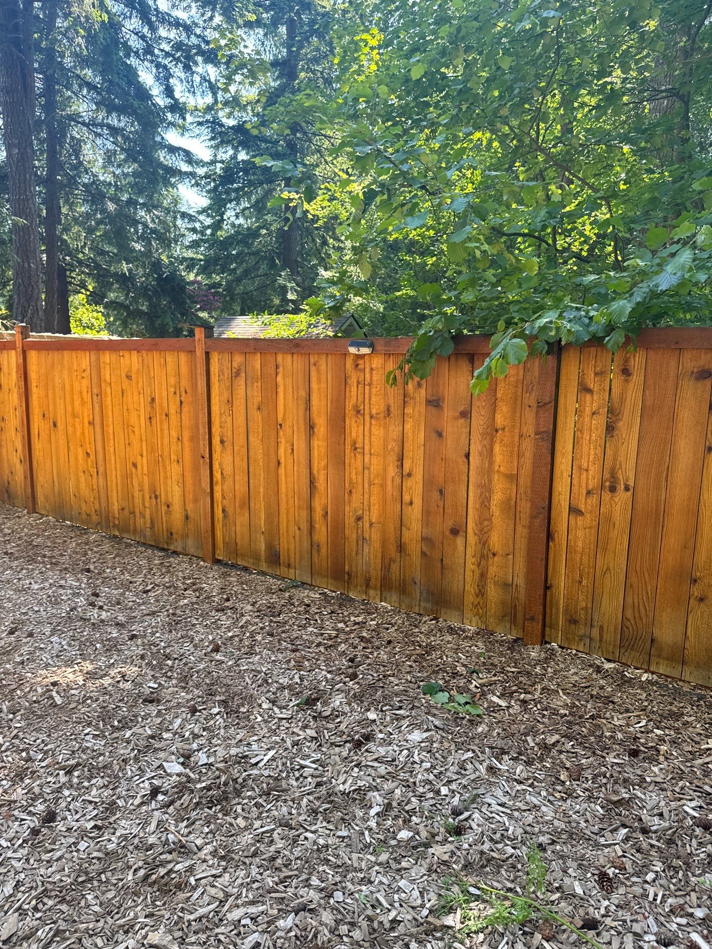 Project in North Bend by Clean Buildings