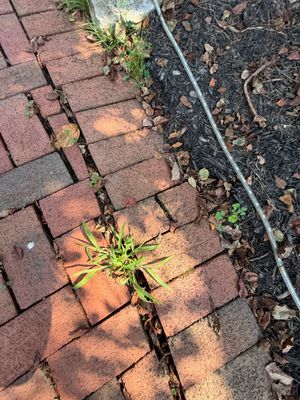 Window Cleaning in Montgomery, NJ — Gallo Bros job photo