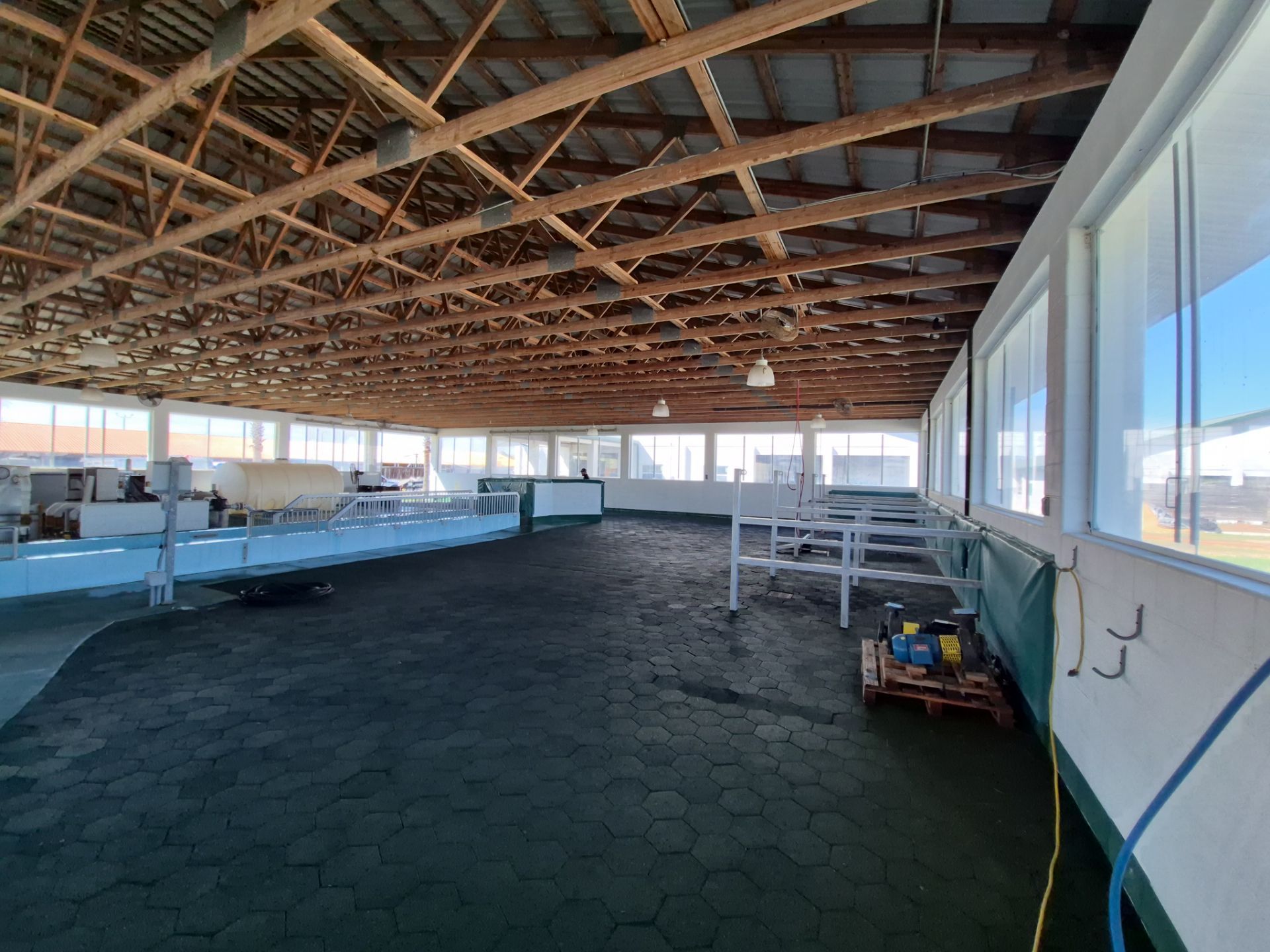 Horse Walker Cleaning Project by Infinite Exteriors LLC