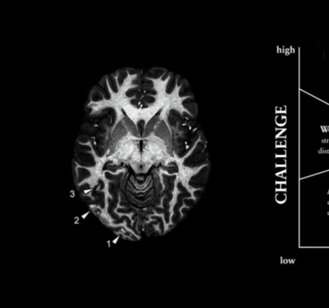 Project in McKinney, TX by NIMBUS GENERAL CONTRACTORS, LLC