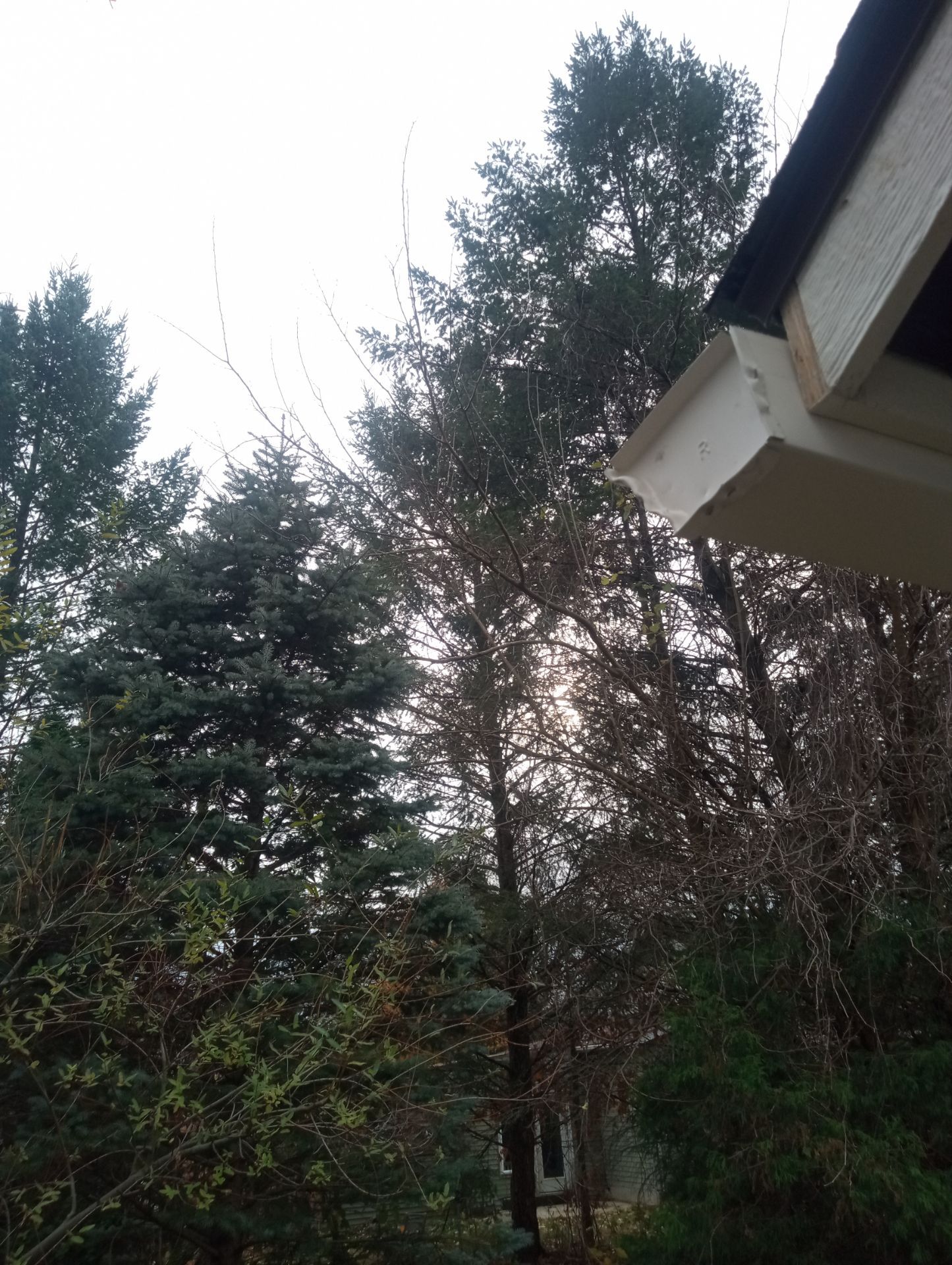 Dan Lance 3034 by Silver Leaf Contracting 