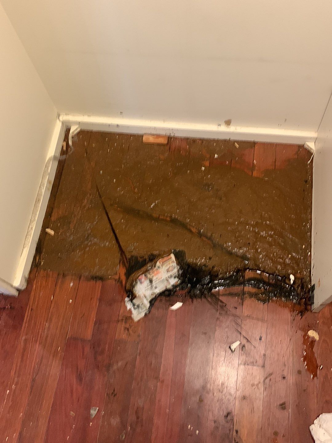 Sewage Backup in Highrise by Chicagoland Water Medics