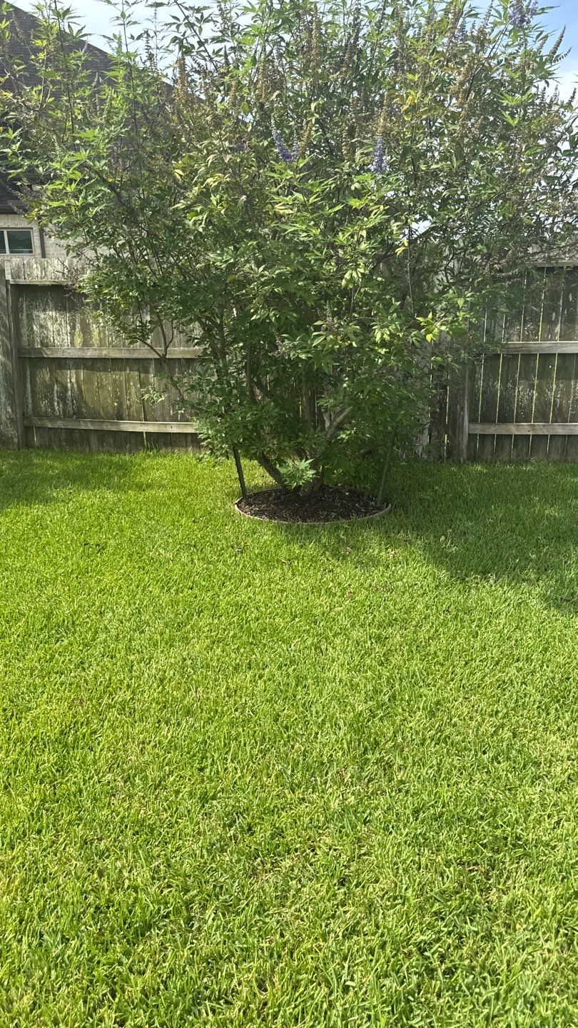 🌿 Mr. Ken’s Front Yard Flower Bed Enhancement by Texas Urban Elements