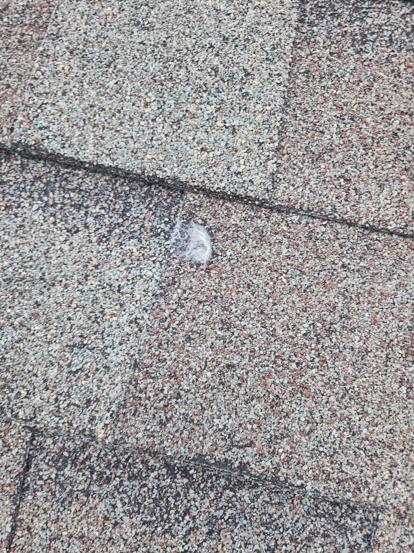 Hail Damage using Owen's Corning Duration (Lifetime) Shingles by Roof Repair Company