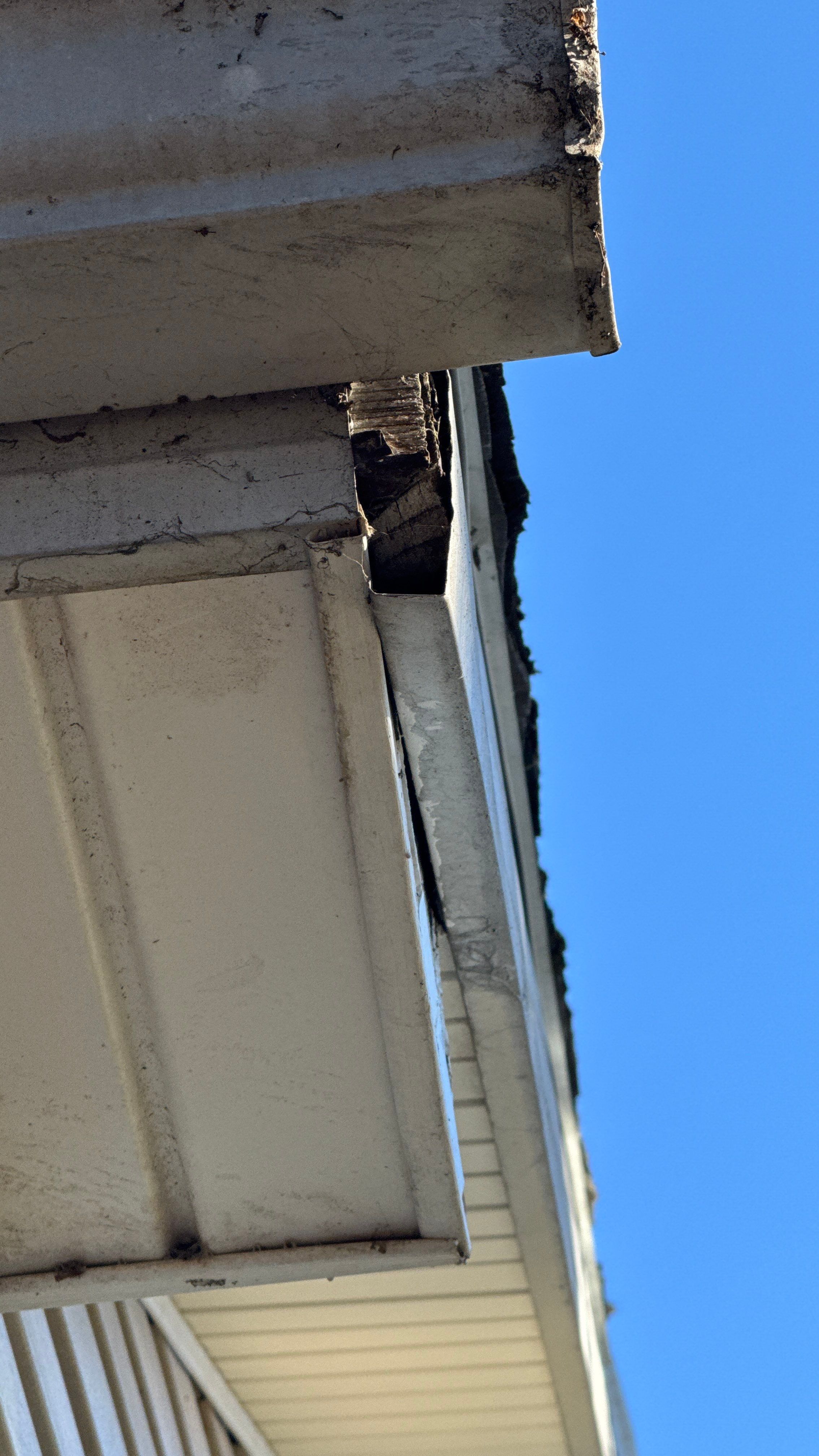 Roof Leak Repair + Fascia/Drip Edge & Gutter Reset - Belleville, IL by Legendary Services Company LLC.