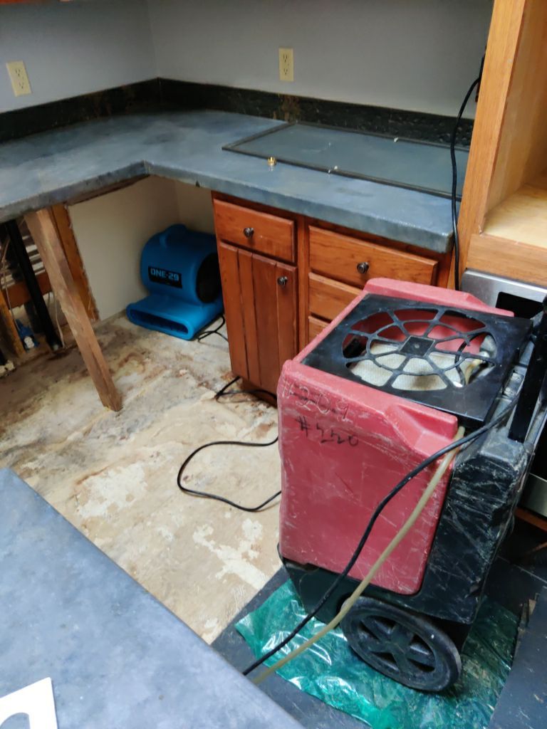 Mold Remediation using Containment by Accountable Home Services