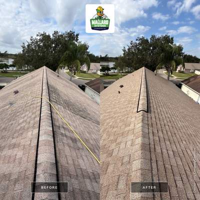 Shingle Roof Cleaning