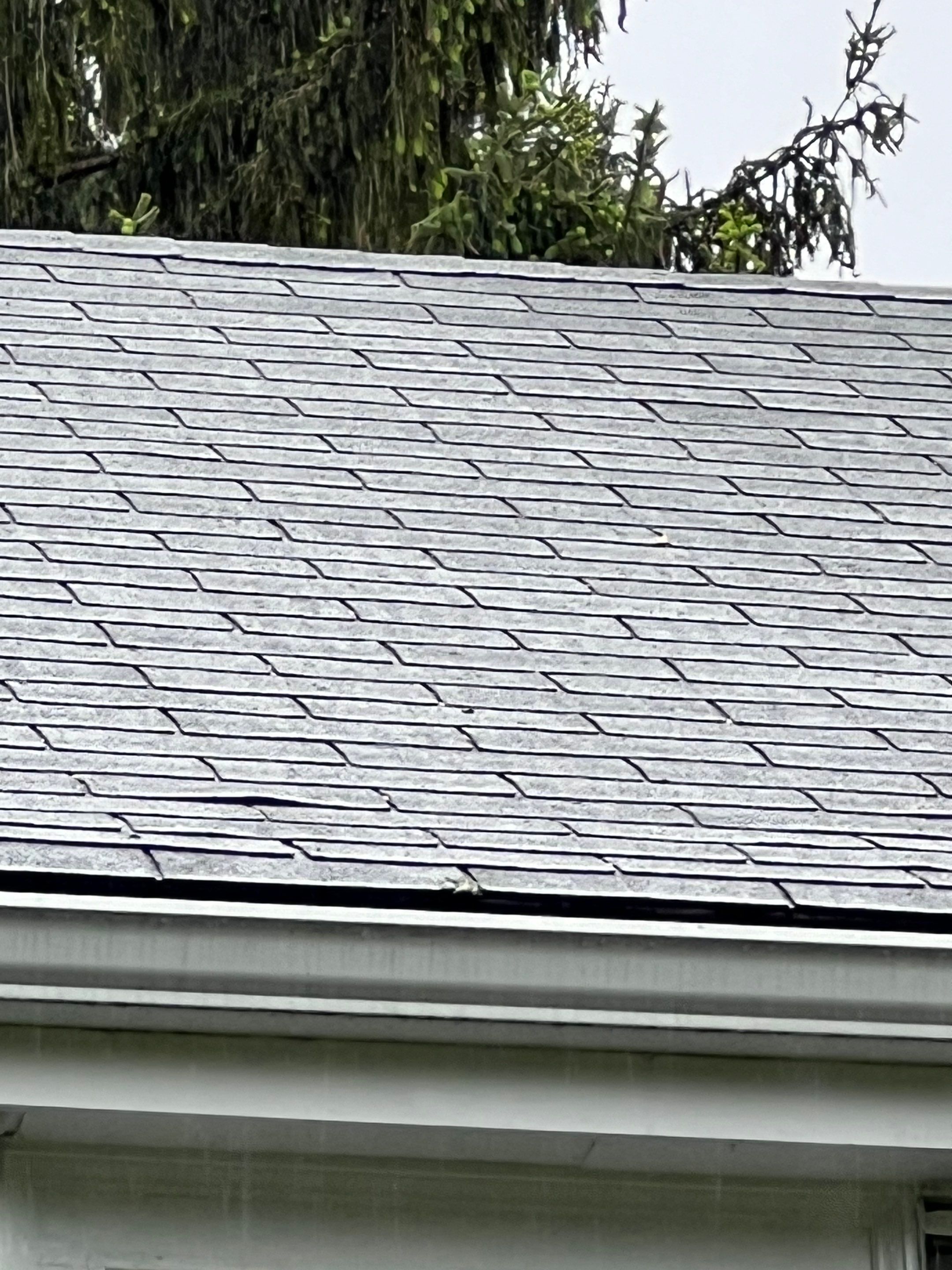Complete Roof Replacement with Ventilation Upgrade by Mighty Dog Roofing of Greater Middlesex County