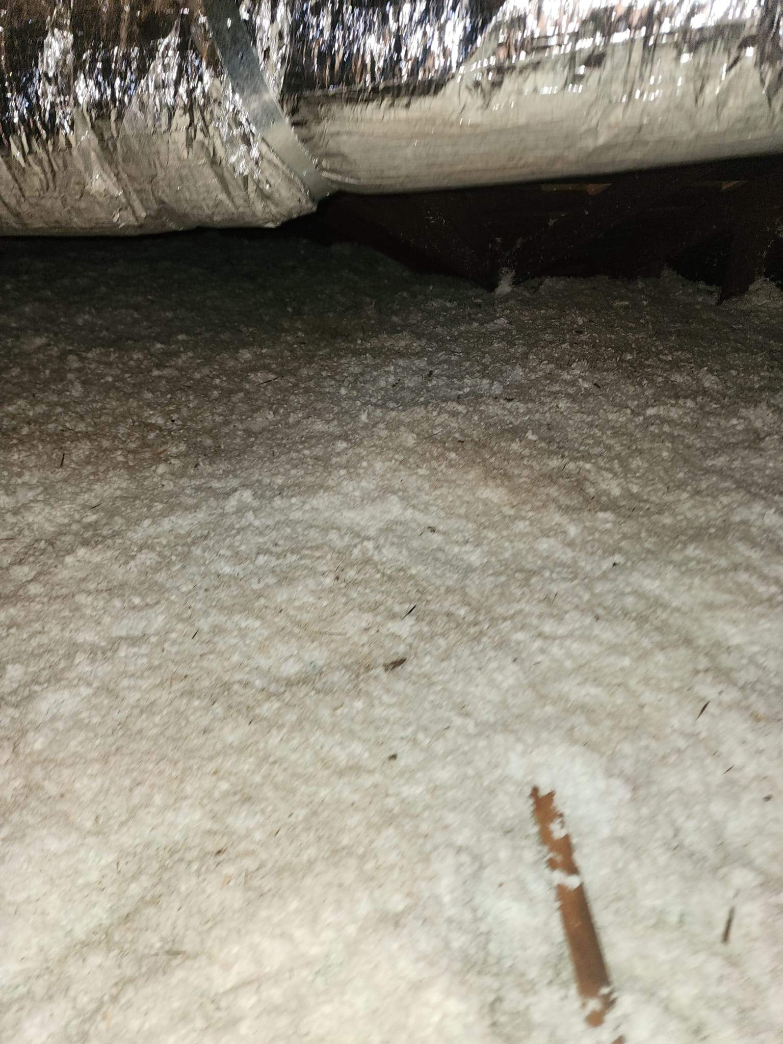 Project by Advanced Attic Solutions by Advanced Attic Solutions