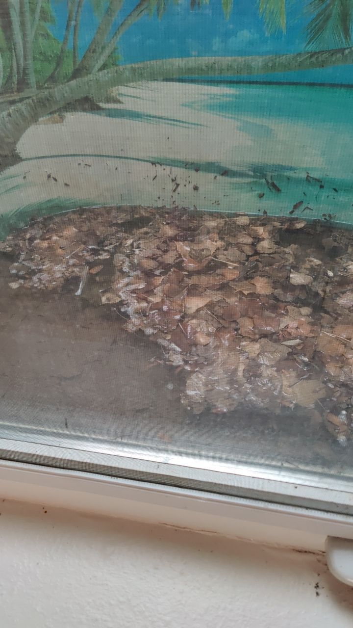 Water Damage by Accountable Home Services