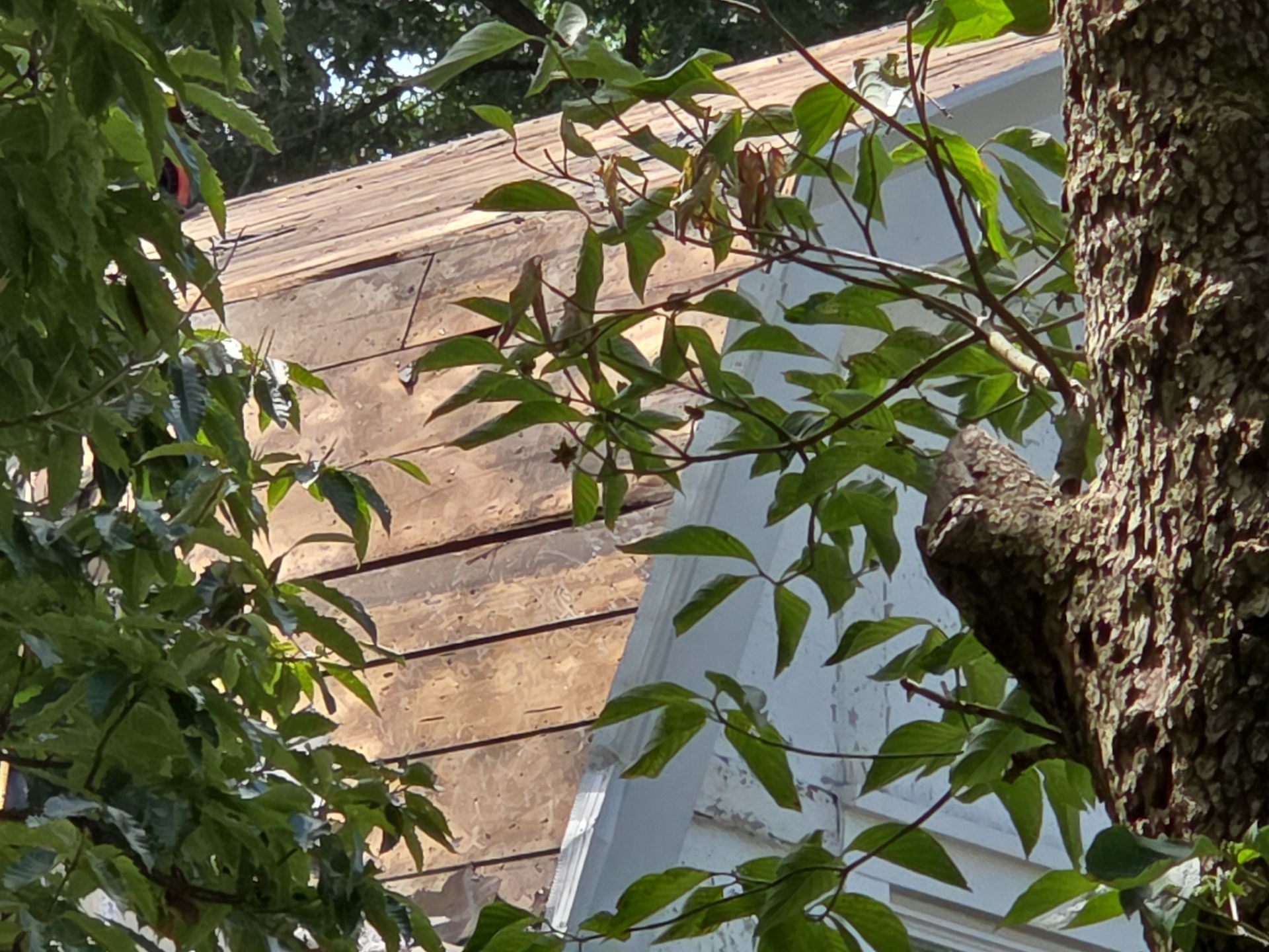 Charleston WV IKO Dynasty Roof Replacement – Premium Asphalt Shingles & Expert Installation by Mr. Roofer