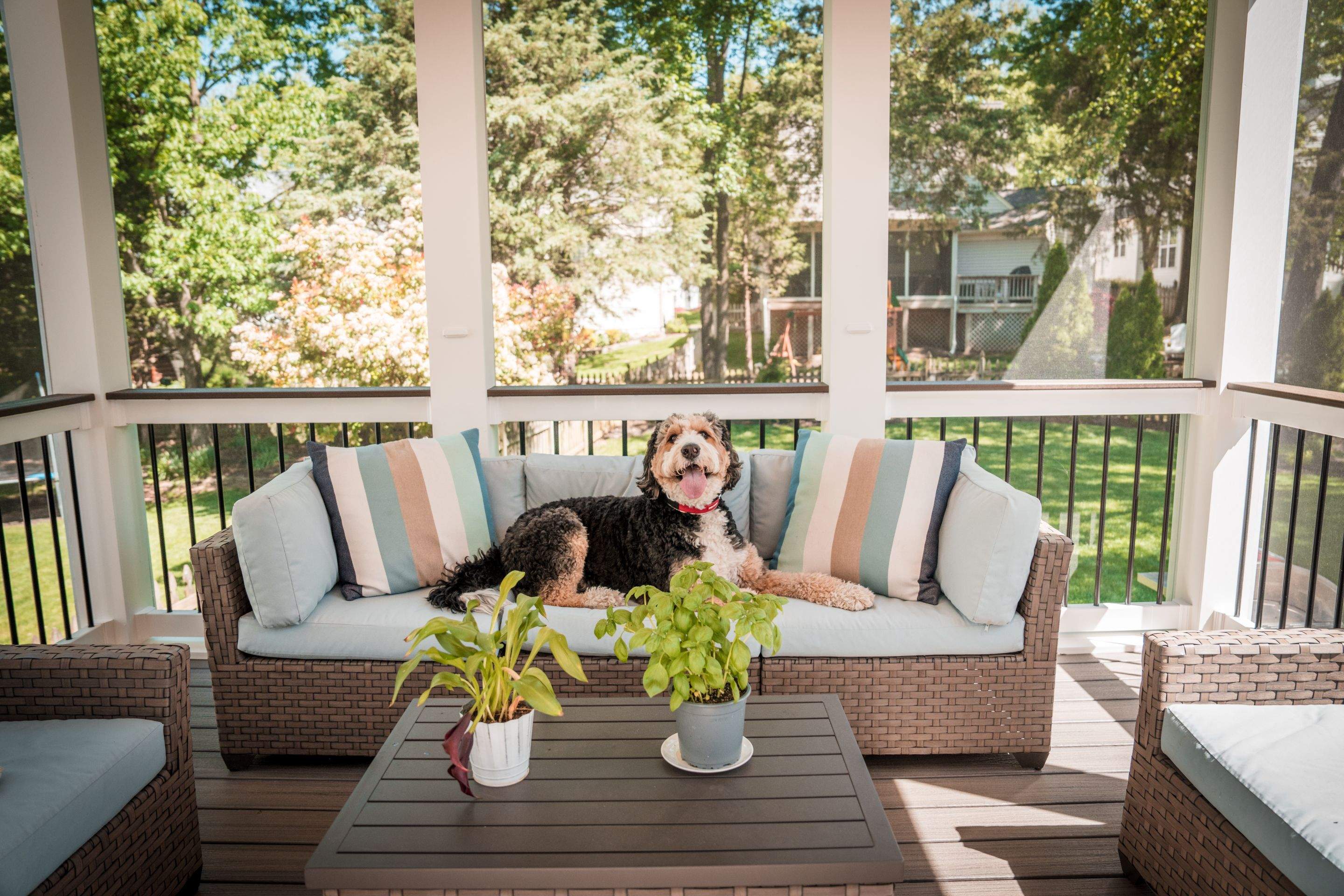 Screened-In Porch, Composite Deck & Paver Patio in Chantilly, VA by Sunburst Construction Inc