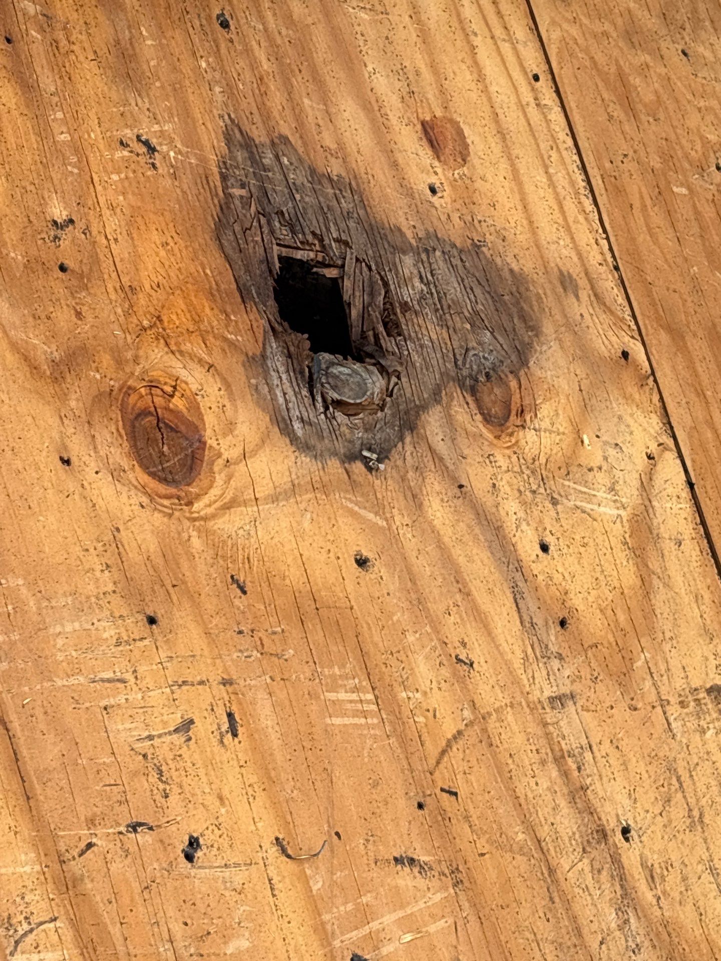 Roof Repair Pearland by Roof Repair Company