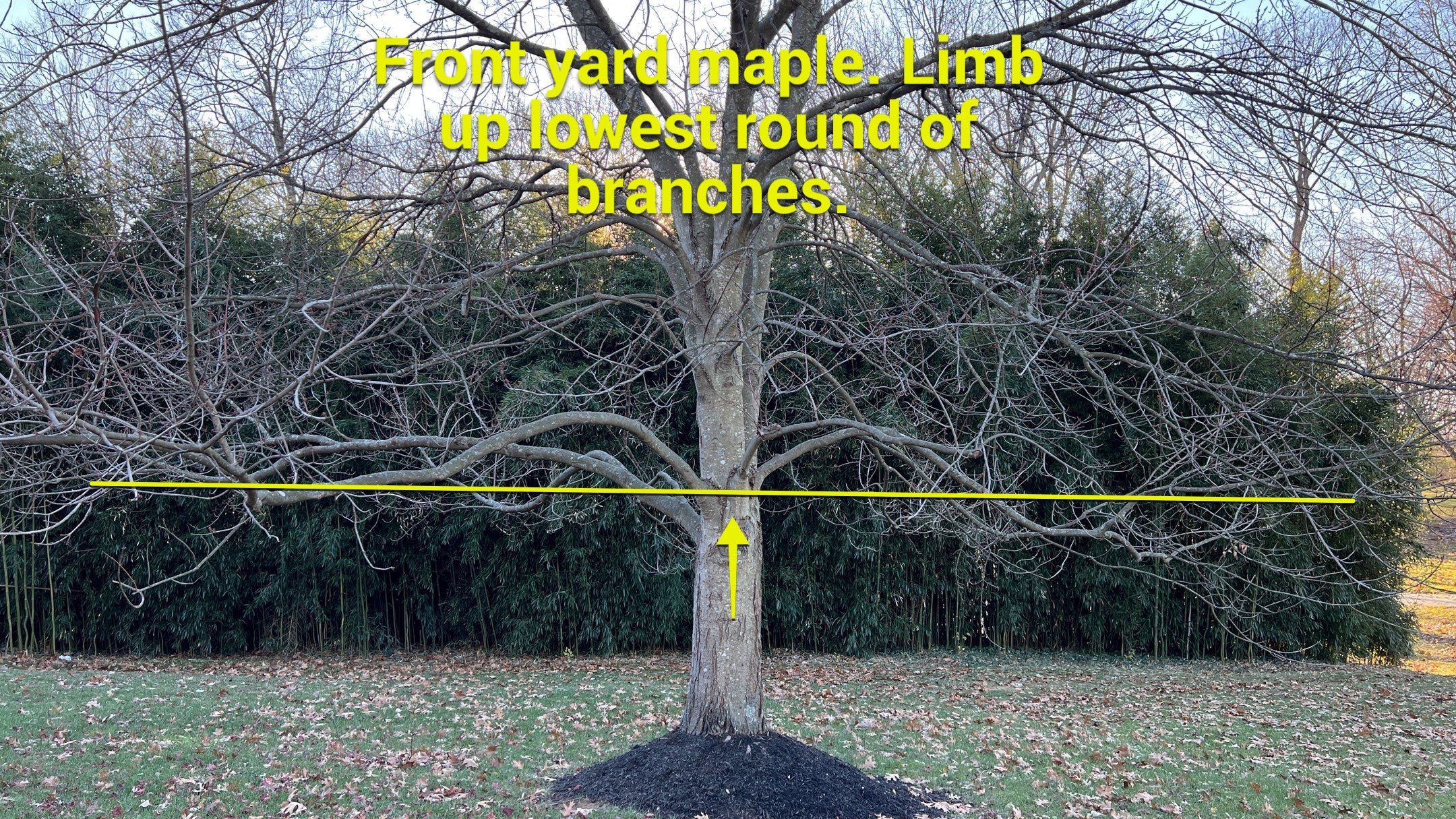 Hardscape Design & Install using Unilock Products by Reisenberg’s Lawn & Landscape, LLC