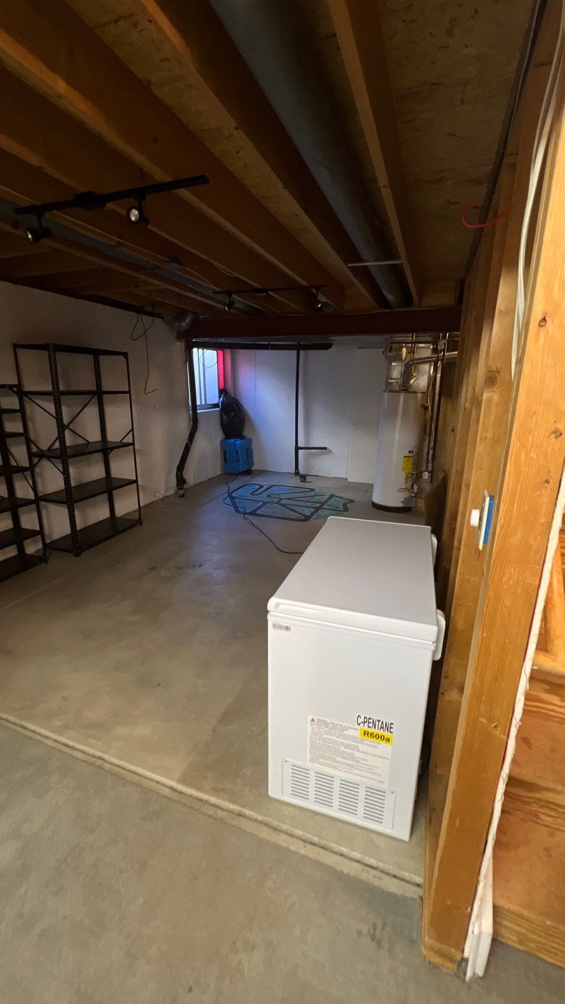 Mold Damage by Accountable Home Services