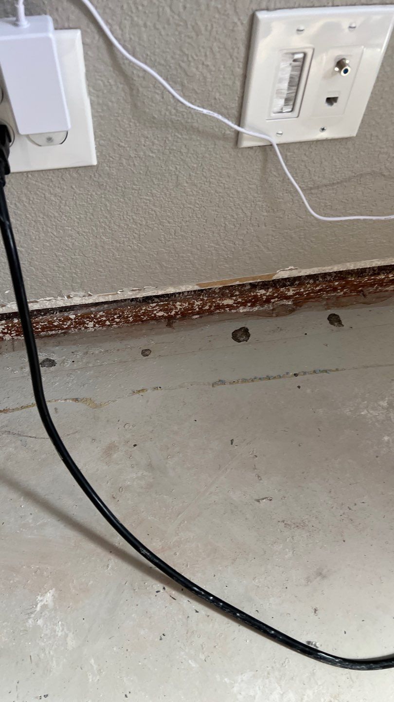 Mold Remediation  by Accountable Home Services