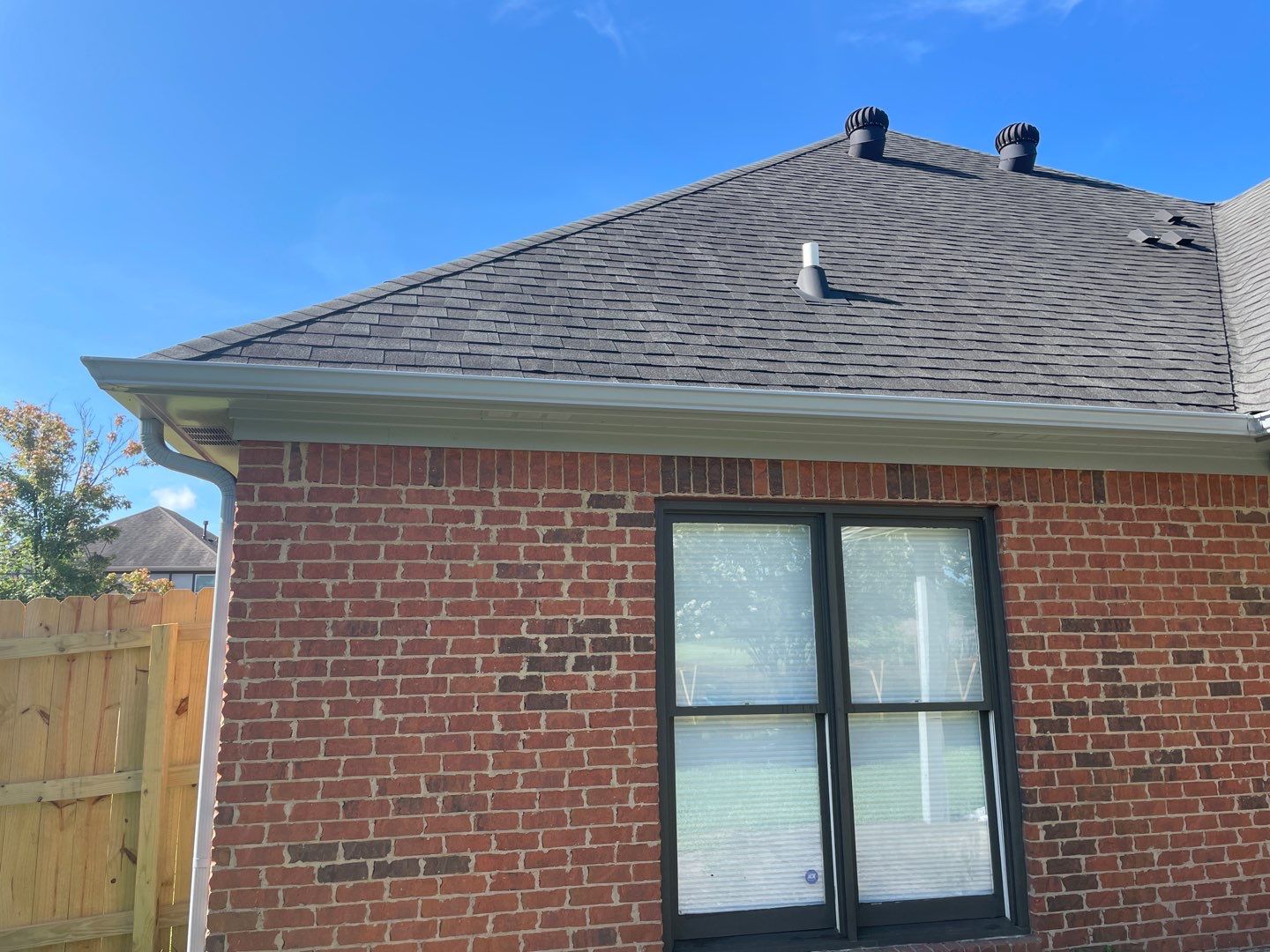 Downing Park - Paint by Pillar and Pine