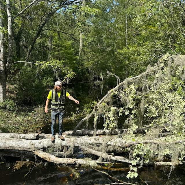 Deerwood Community | Contract Tree Work by ProGreen Services