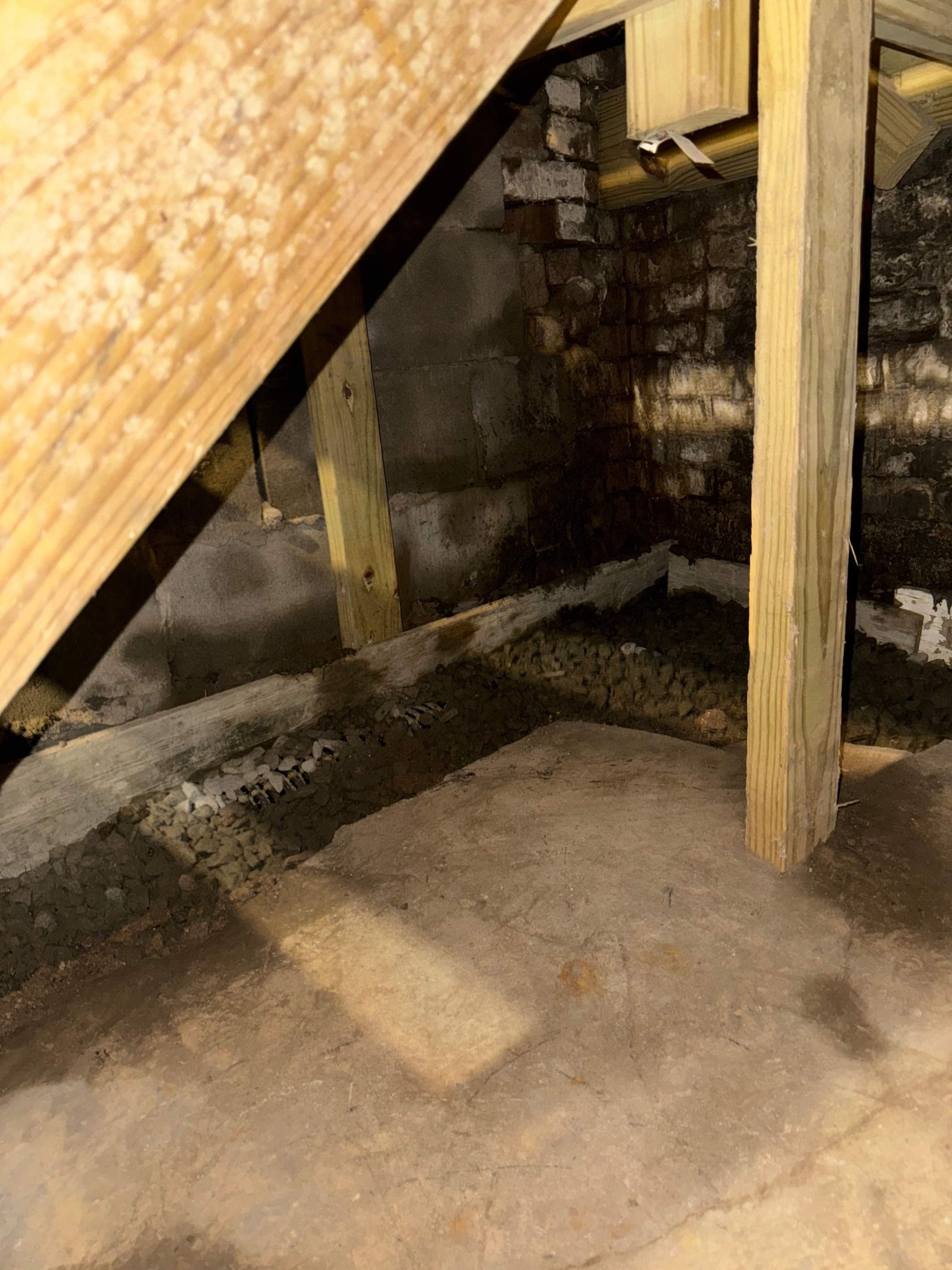 Interior French Drain & Wall Vapor Barrier in Newark, NJ  by Pure Service Pro, LLC 