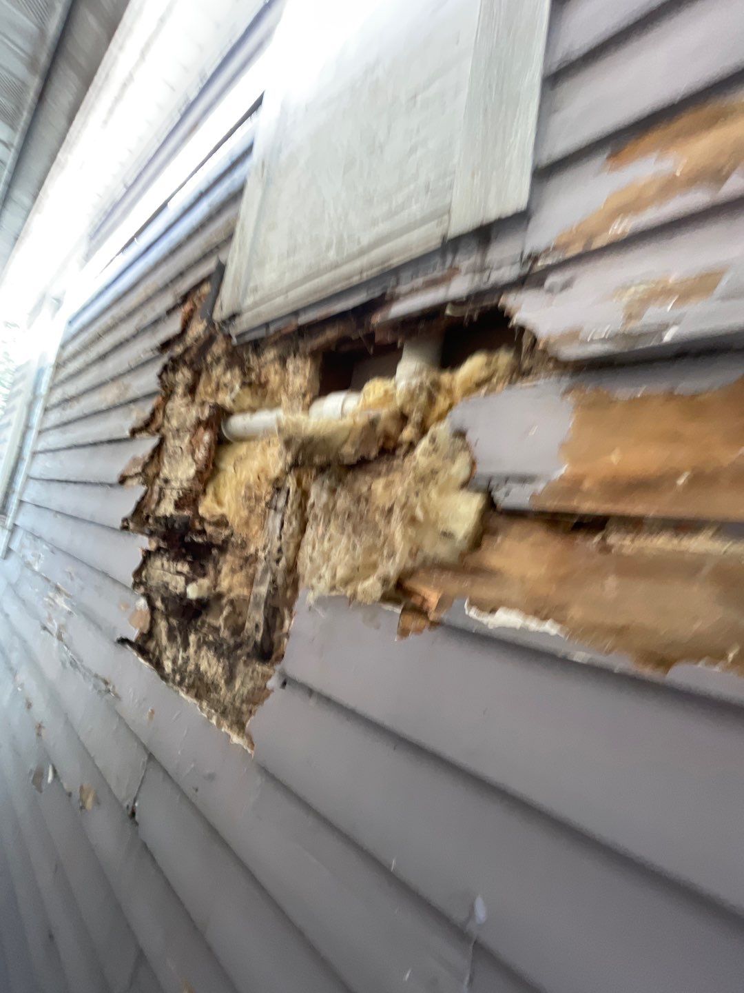 Megna Crew Showcase by Megna Painting