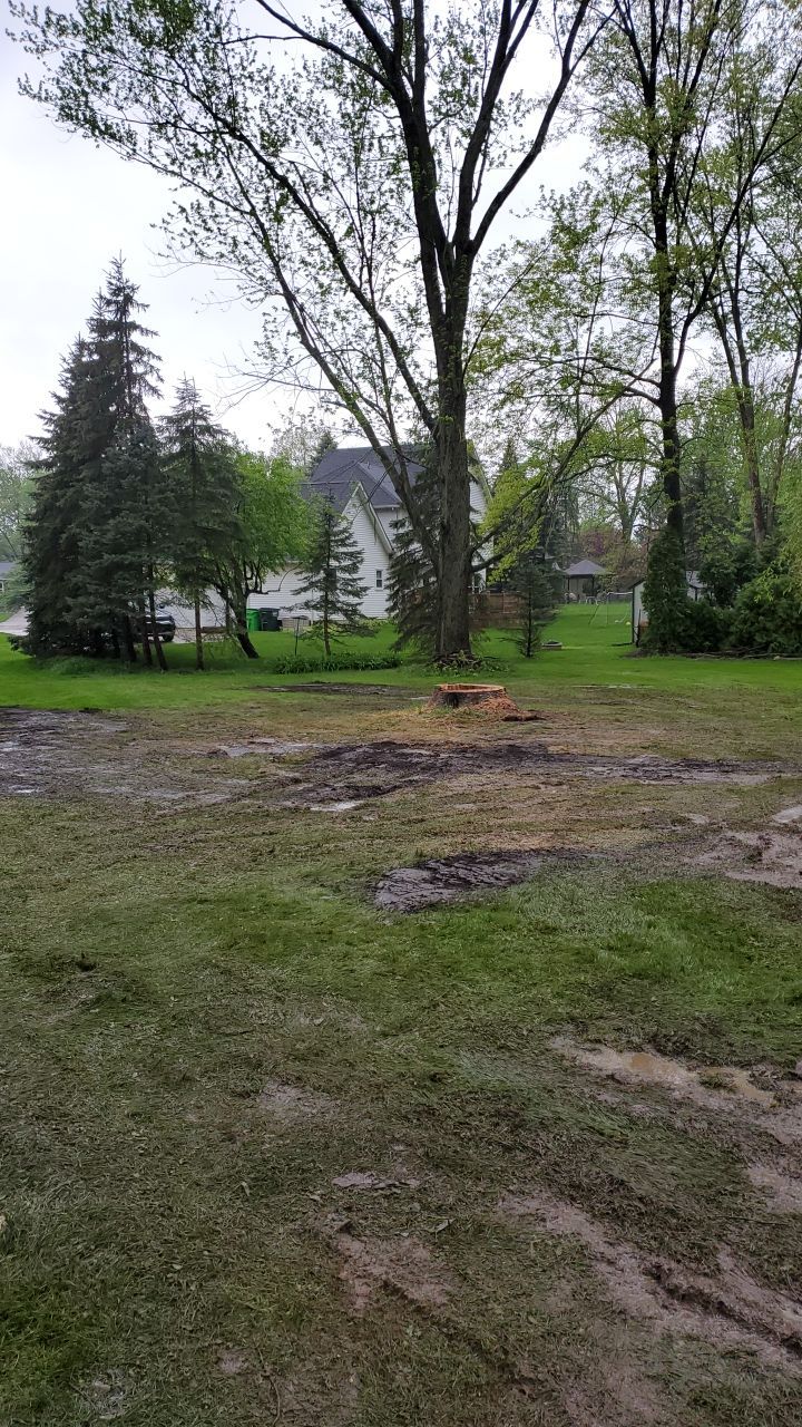 Tree Removal using Tree Removal by Mike Jones & Sons Tree Service LLC 