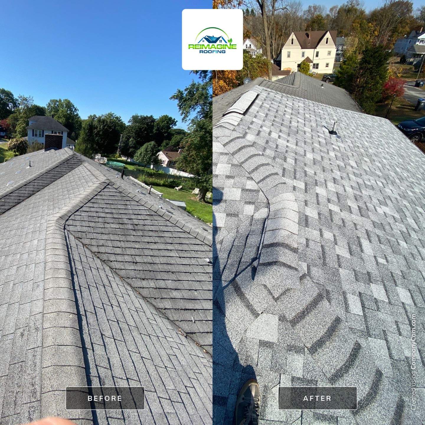 Silver Birch Shingles by Reimagine Roofing