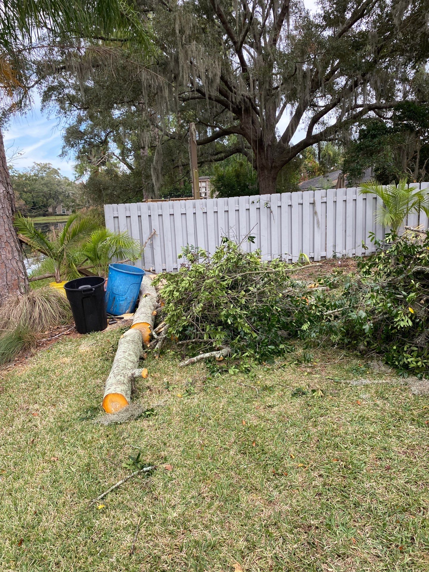 Deerwood Resident | Tree Trimming & Removal by ProGreen Services