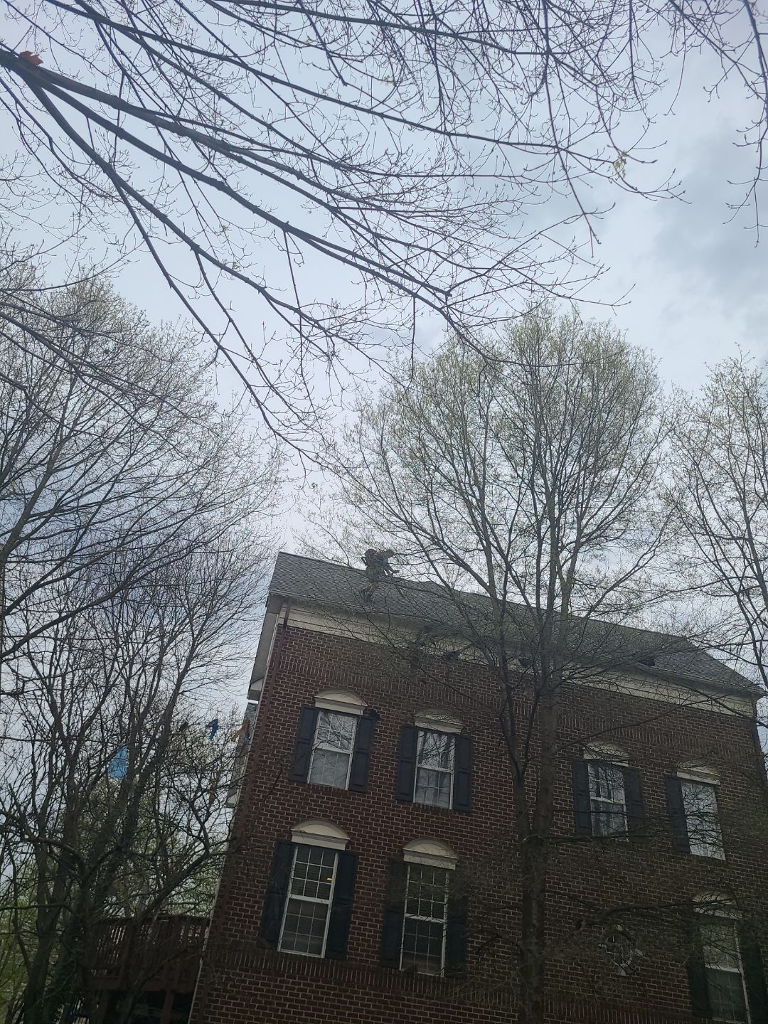 Alexandria: CertainTeed Landmark Pro Designer Shingles in Max Def Georgetown Gray by RM Banning, Inc.