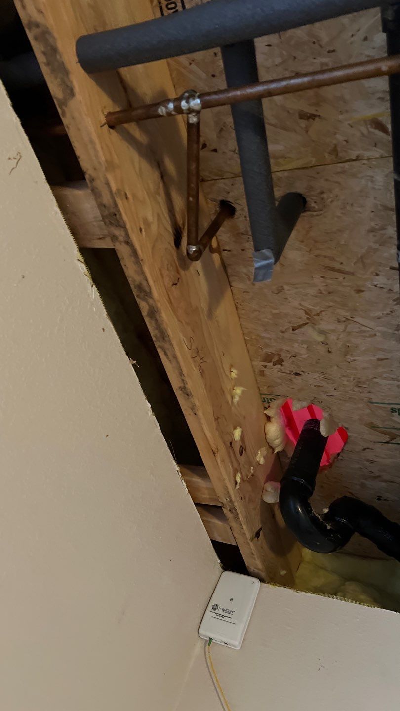 Water Damage and Mold Remediation by Accountable Home Services